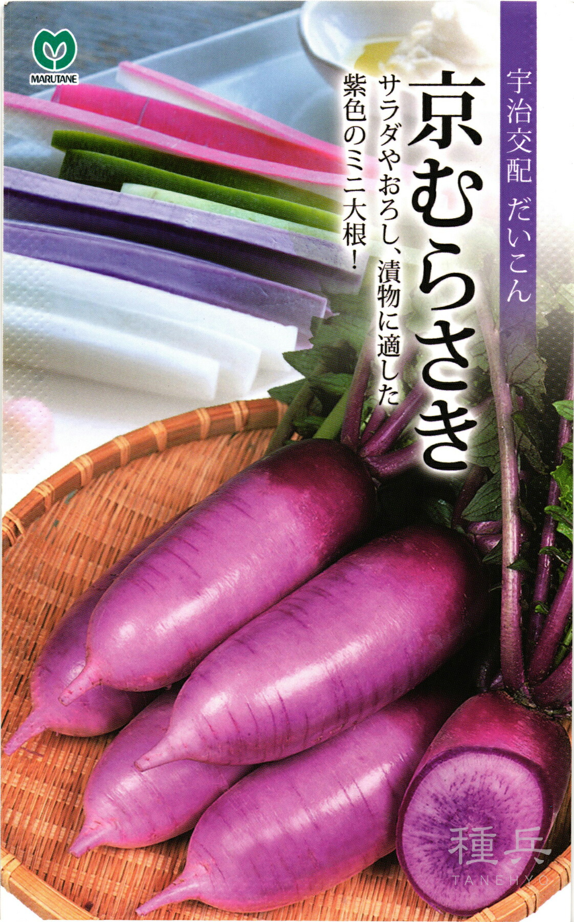紫ミニ清白 種 『京むらさき』  丸種