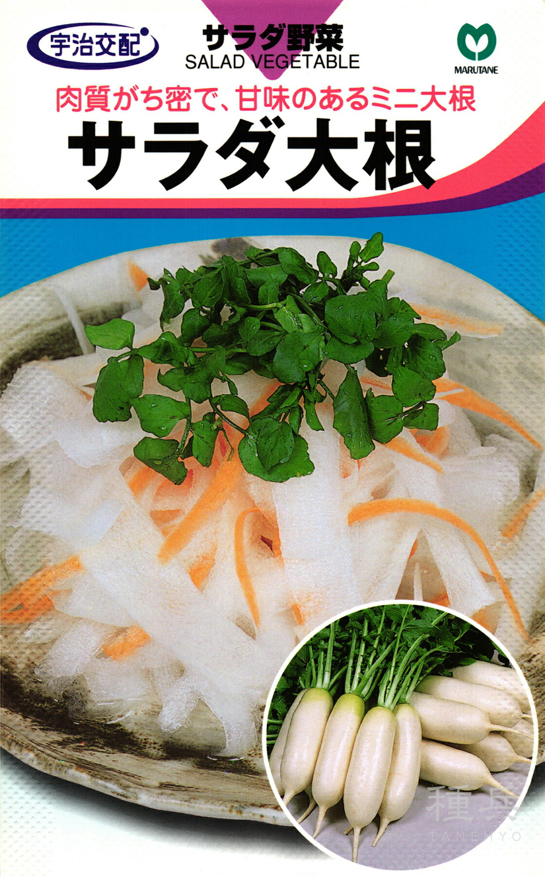 ミニ大根 種 『サラダ大根』 丸種