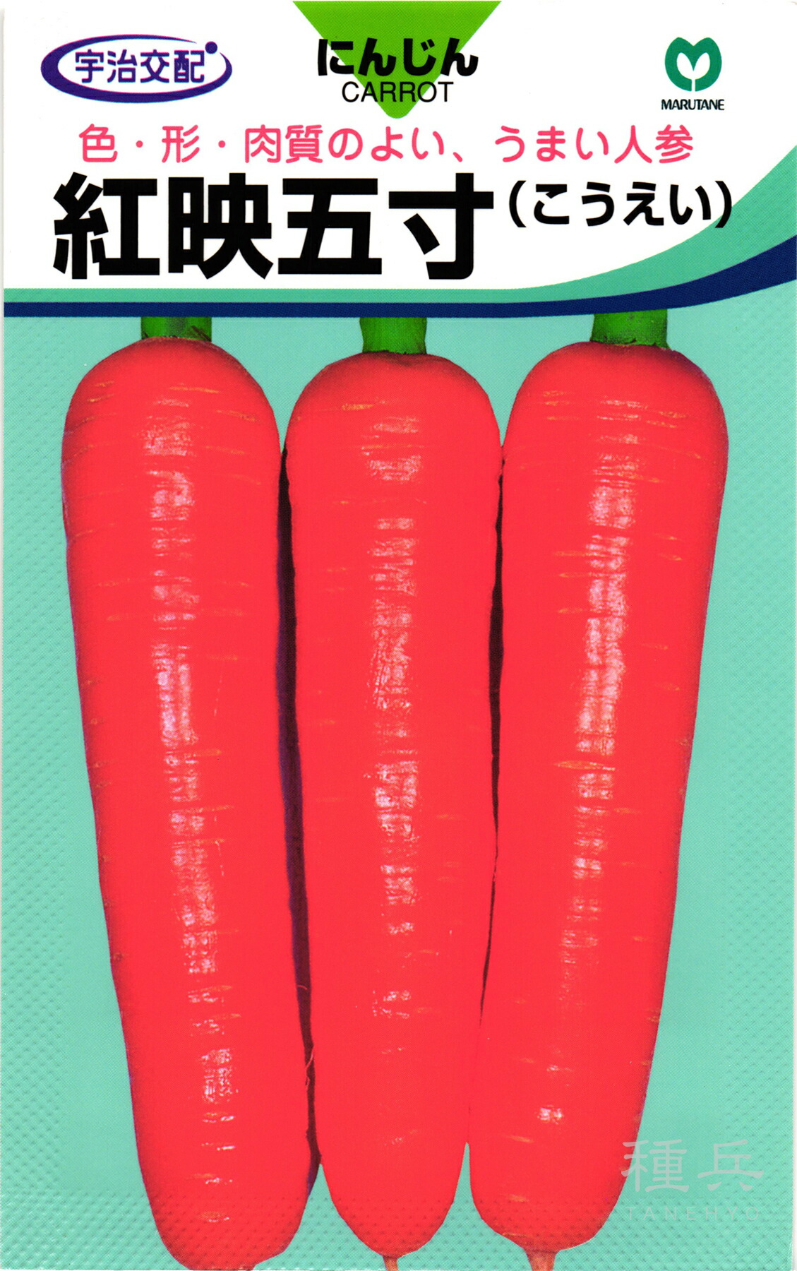 楽天市場】紅光五寸ﾆﾝｼﾞﾝ種20ﾐﾘ(約3800粒) 夏秋栽培用 : 荒川種苗