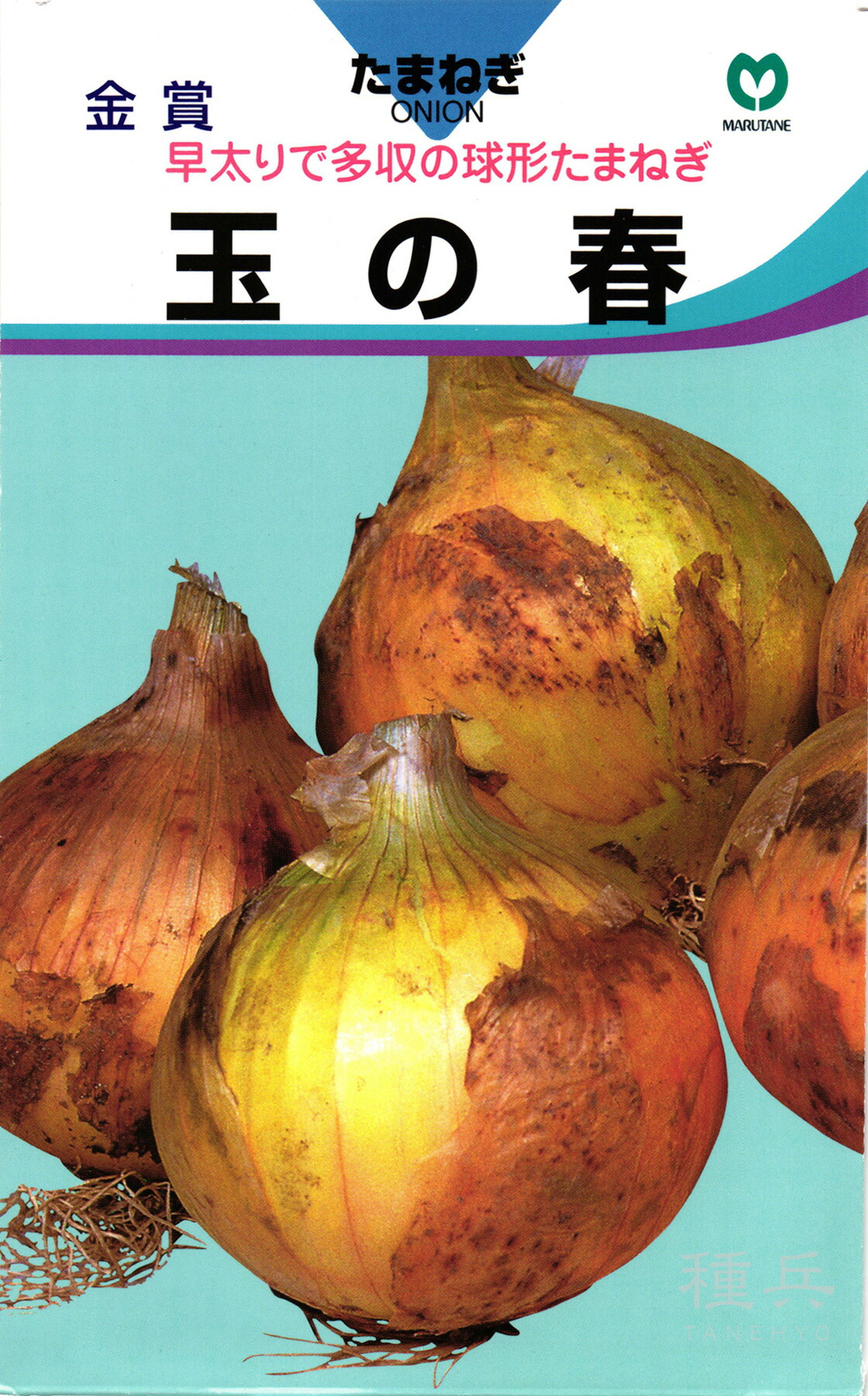 楽天市場】極早生タマネギ 種 『ハイパーリニア玉葱』 松永種苗 : 種兵