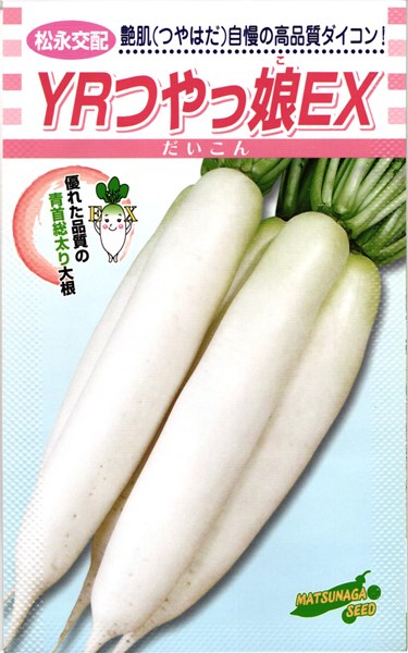 0円 人気 おすすめ 秋ダイコン 種 Yrつやっ娘ex大根 松永種苗 コート5000粒