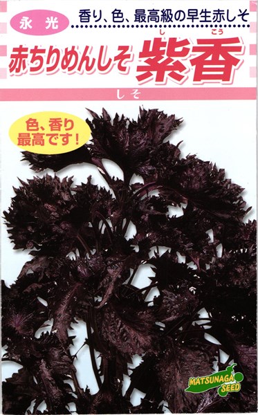 楽天市場】青しそ 種 『大高』 松永種苗/小袋（5ml） : 種兵ネットショッピング