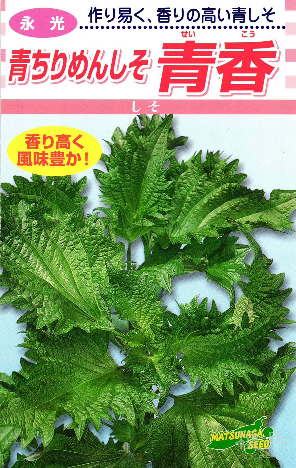 青しそ 種 『青香』 松永種苗