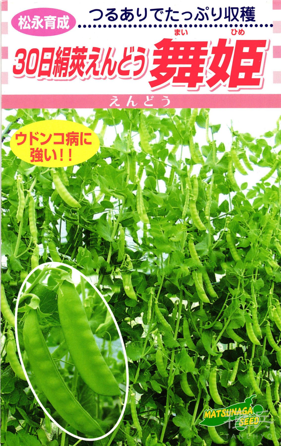 さやエンドウ 種 『舞姫』 松永種苗