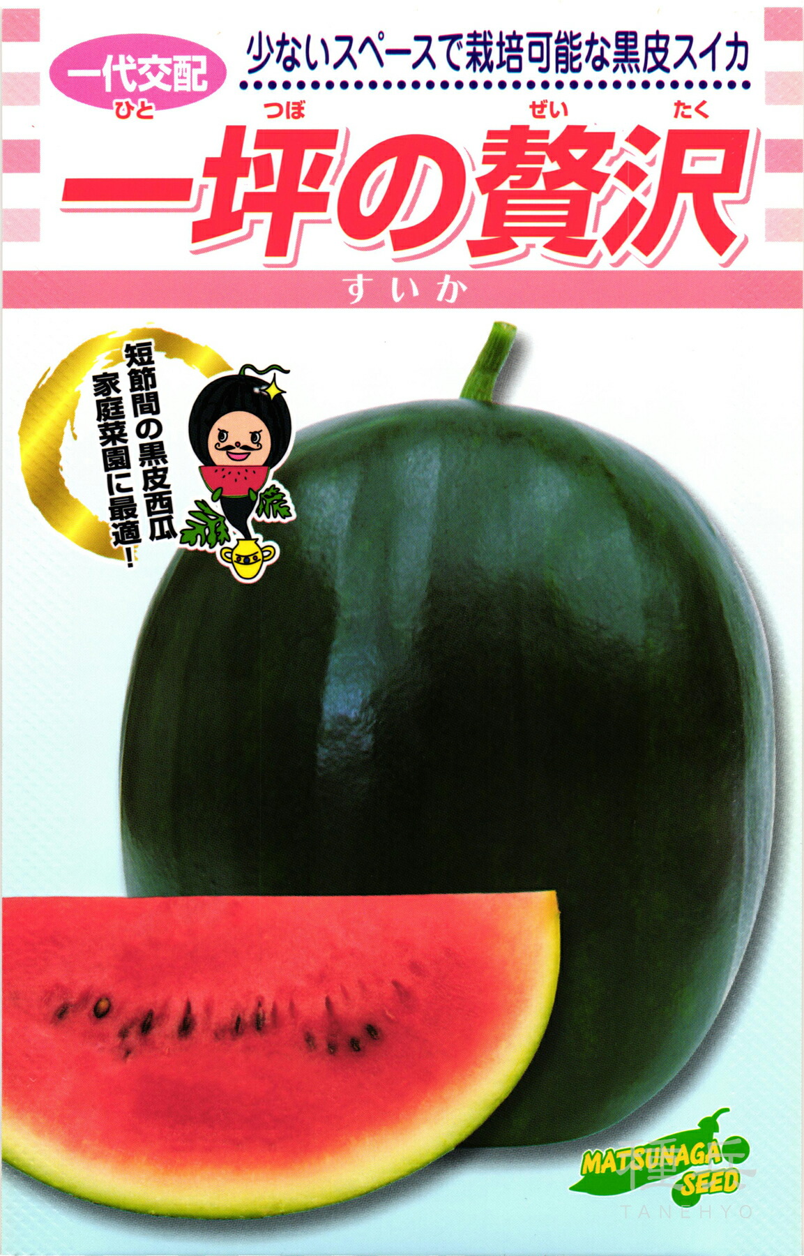 黒皮中玉スイカ 種 『一坪の贅沢さ』  松永種苗