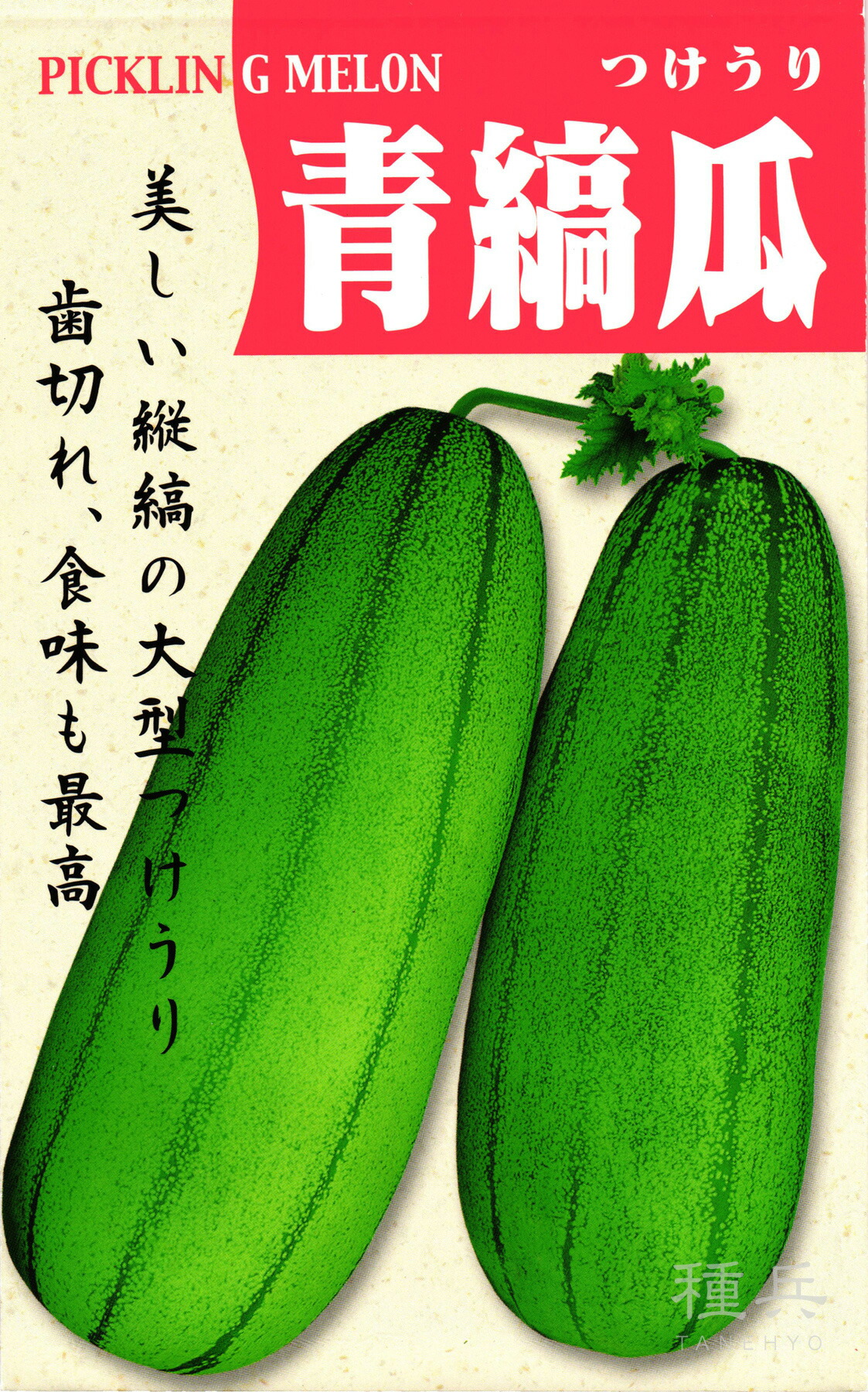 楽天市場】ハヤトウリ 青実 苗 5号鉢 隼人瓜 苗 家庭菜園 芽出し