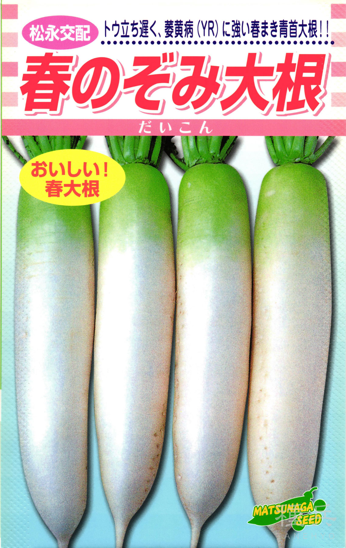 春蘿蔔 種 『春のぞみ大根役者』  松永種苗