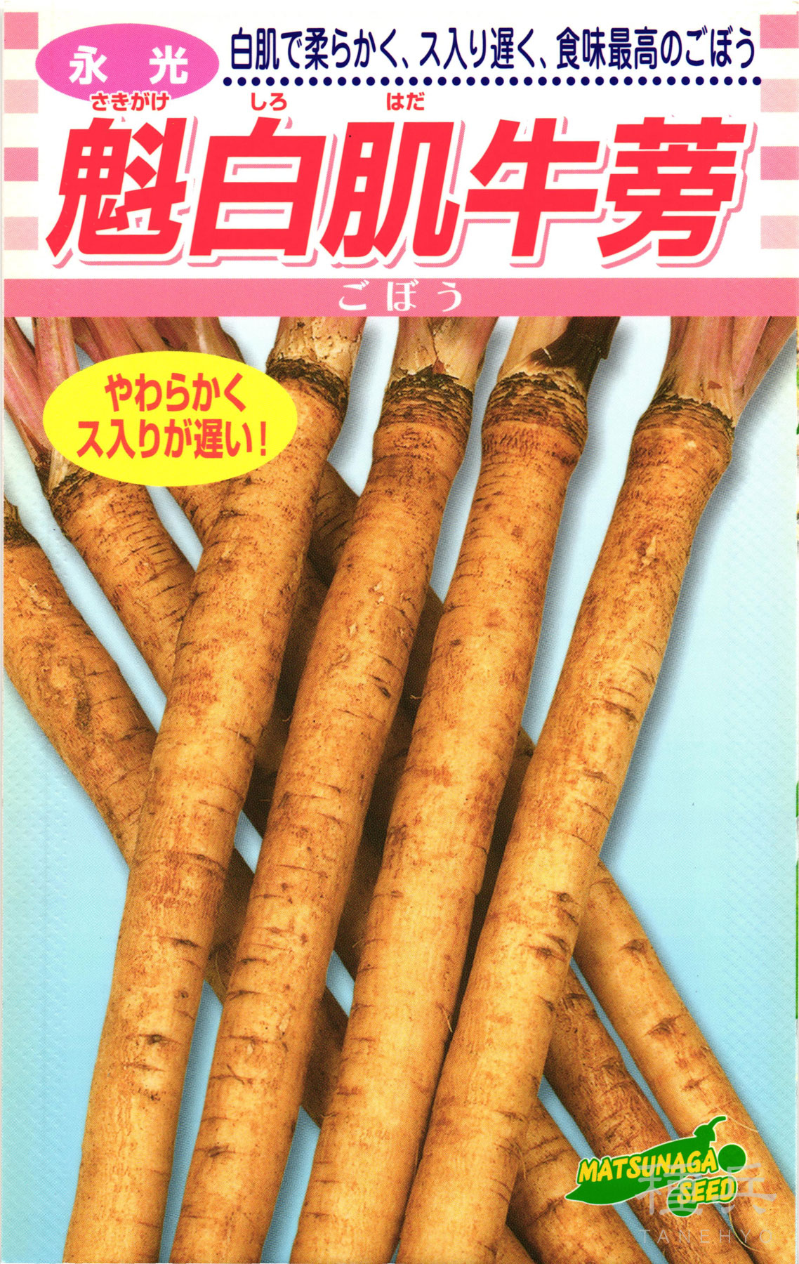 牛蒡 種 『魁白肌ゴボウ』  松永種苗