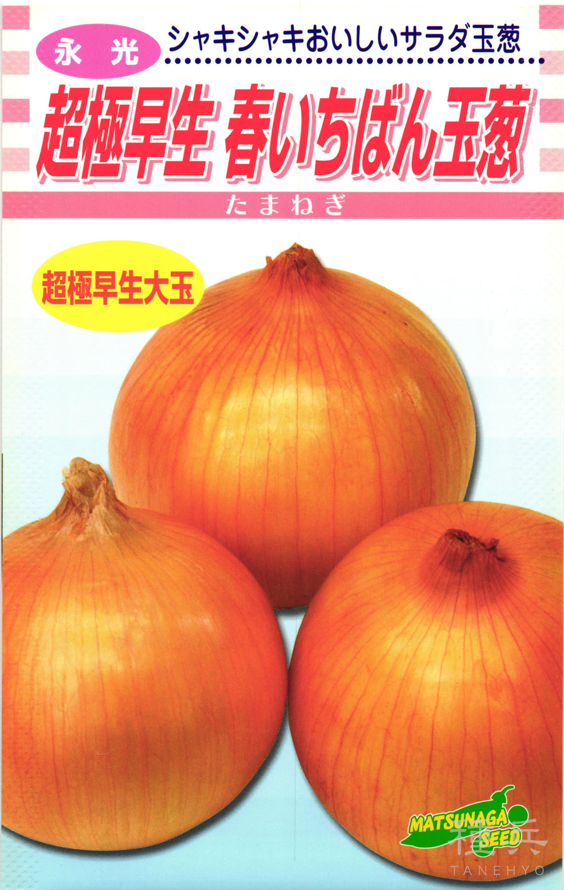 玉ねぎ苗300本(スーパーリニア) 玉ねぎ苗300本(スーパーリニア) - メルカリ