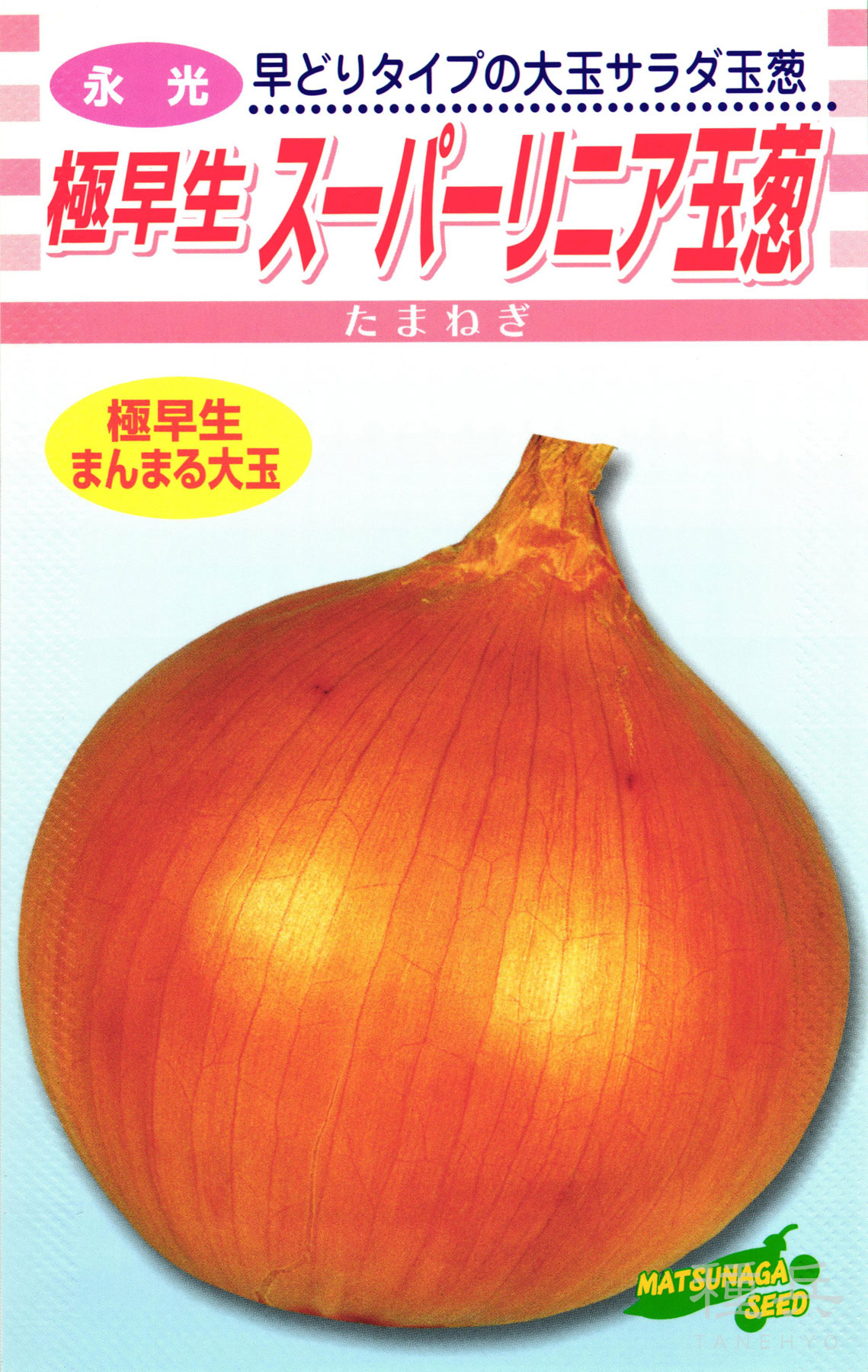 極早生玉ねぎ苗 ハイパーリニア 1000本 ハイパーリニア玉葱 – 松永種苗