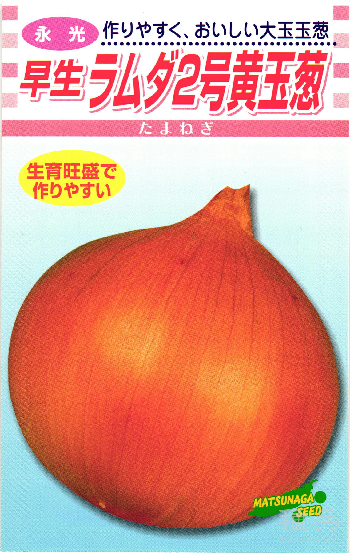 早生玉ねぎ 種 『ラムダ2号黄玉葱』  松永種苗
