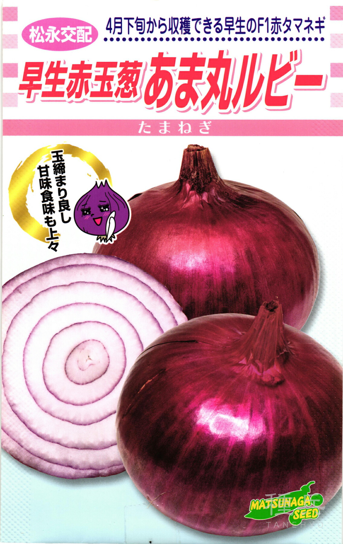 早生赤玉ねぎ 種 『あま丸ルビー』  松永種苗