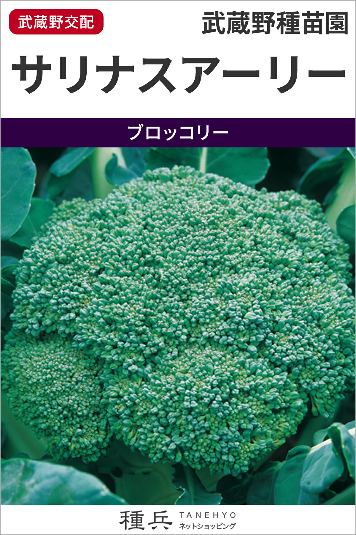 ブロッコリー 種 『サリナスアーリー』 武蔵野種苗園