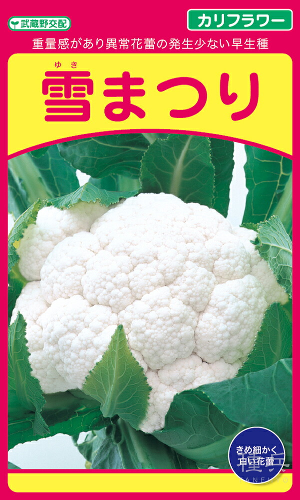 カリフラワー 種 『雪まつり』  武蔵野種苗園