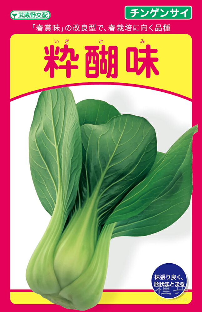 チンゲンサイ 種 『粋醐味』  武蔵野種苗園