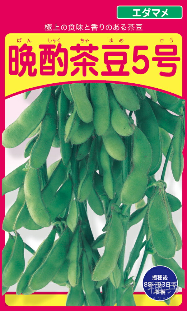 茶豆 種 『晩酌茶豆5号』 武蔵野種苗園