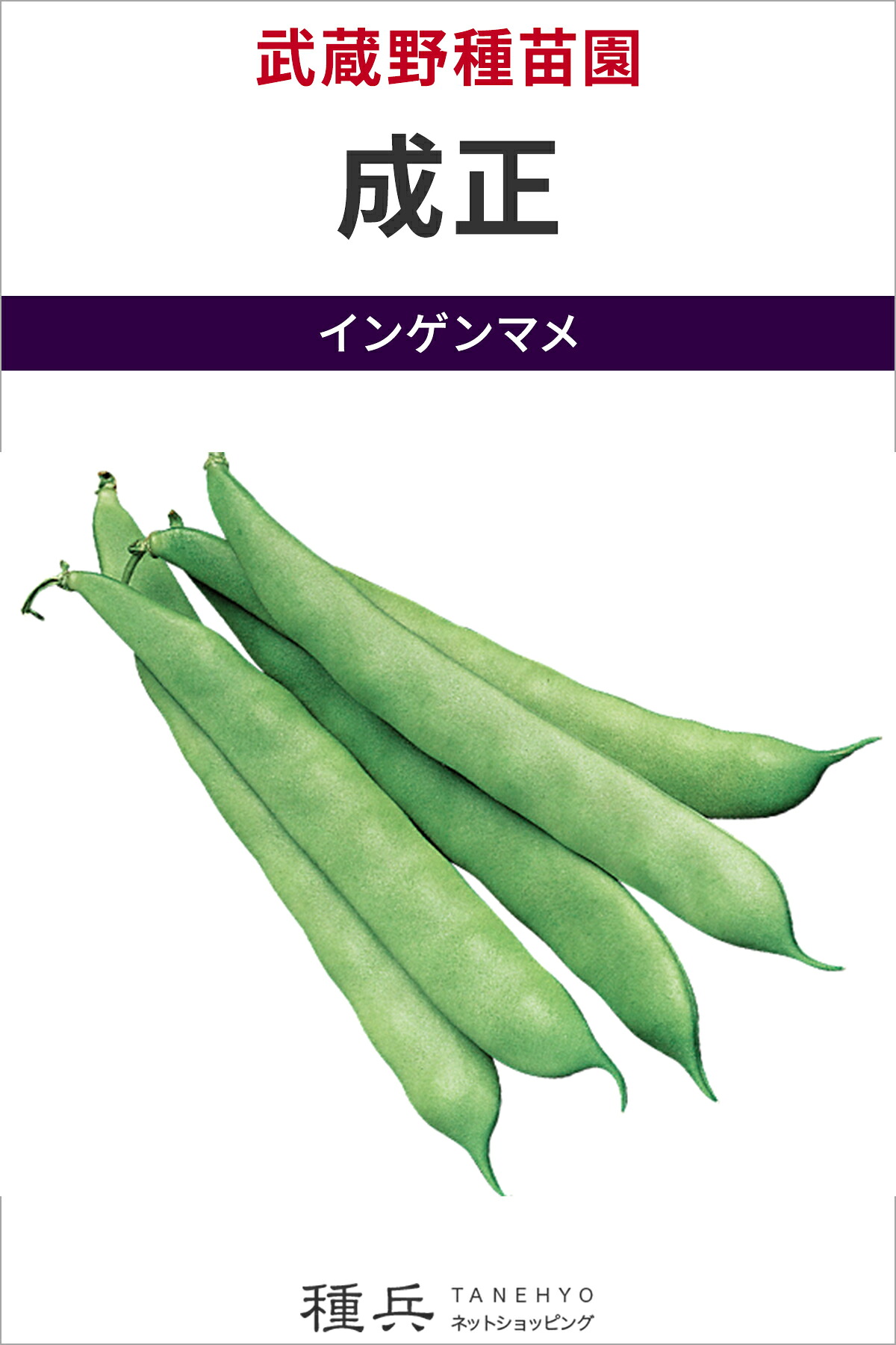 つるなしインゲン 種 『成正』 武蔵野種苗園