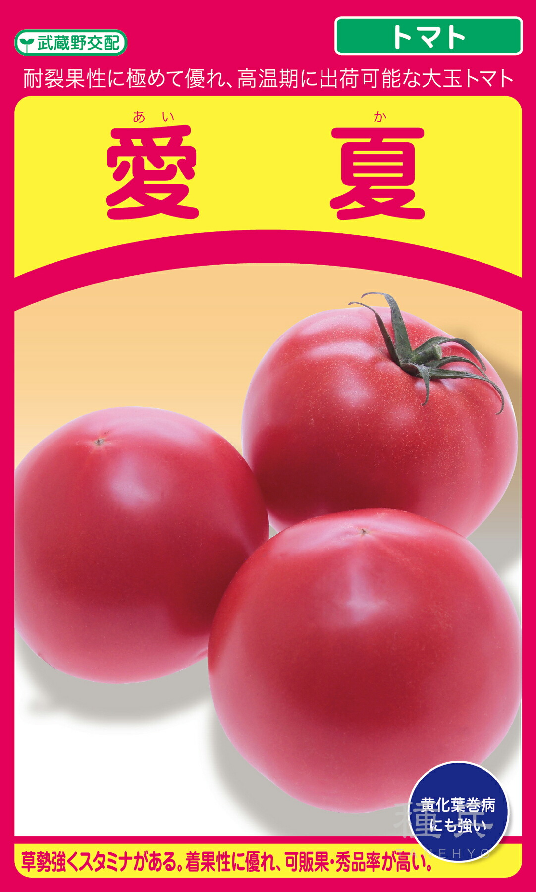 大玉赤茄子 種 『愛夏（MST-1323）』  武蔵野種苗園