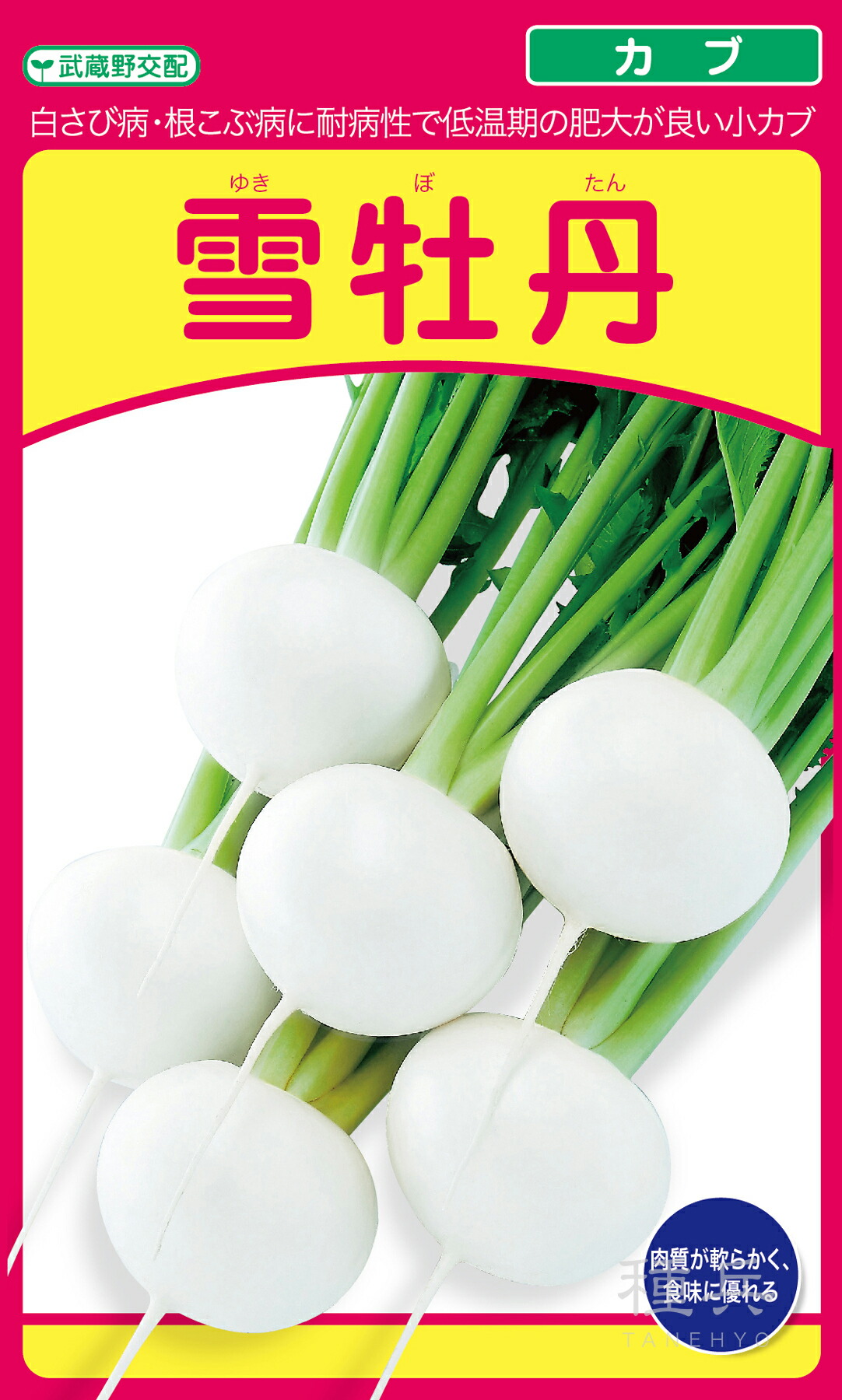 小小僧 種 『雪名取り草』  武蔵野種苗園