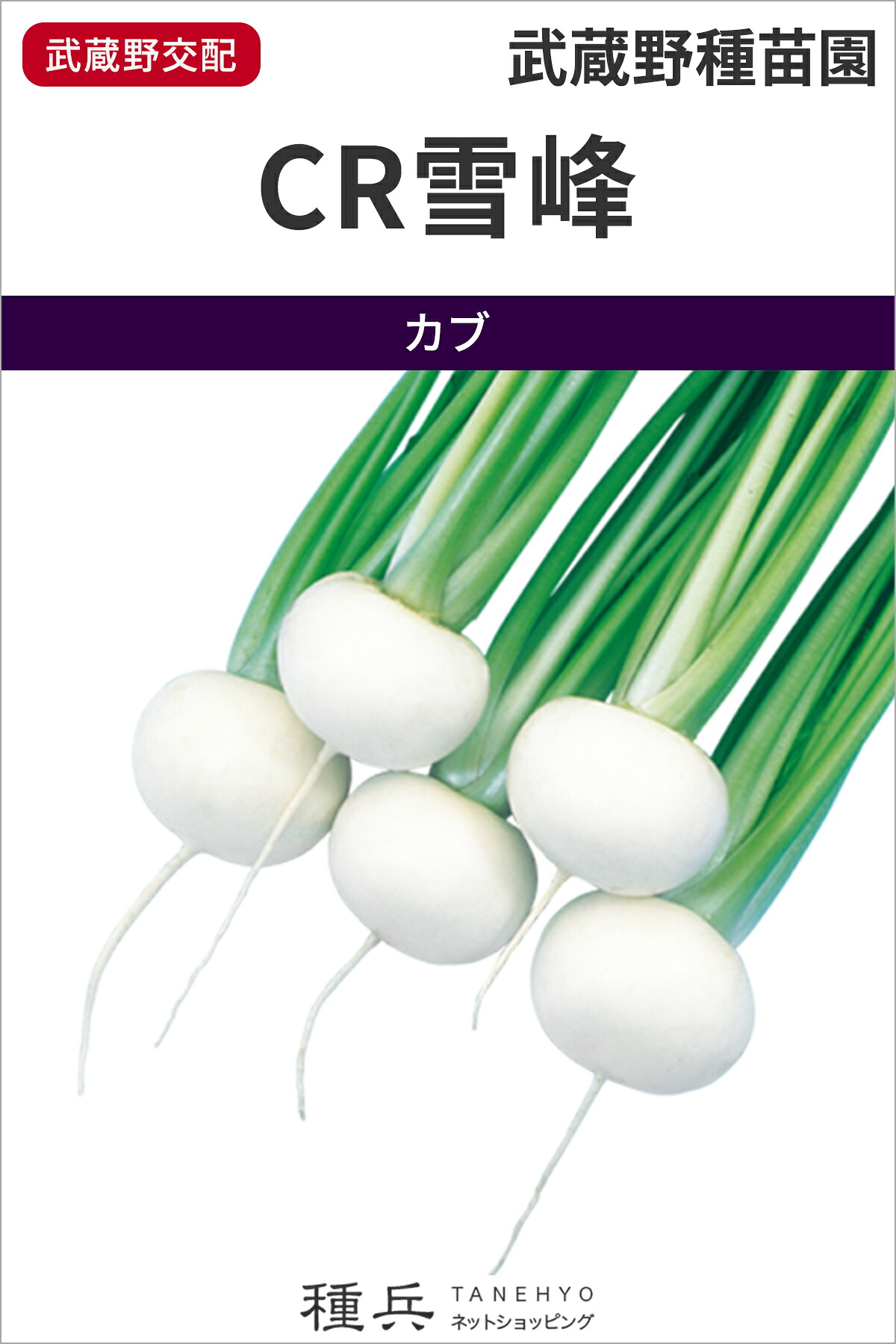 小小僧 種 『CR雪峰』  武蔵野種苗園