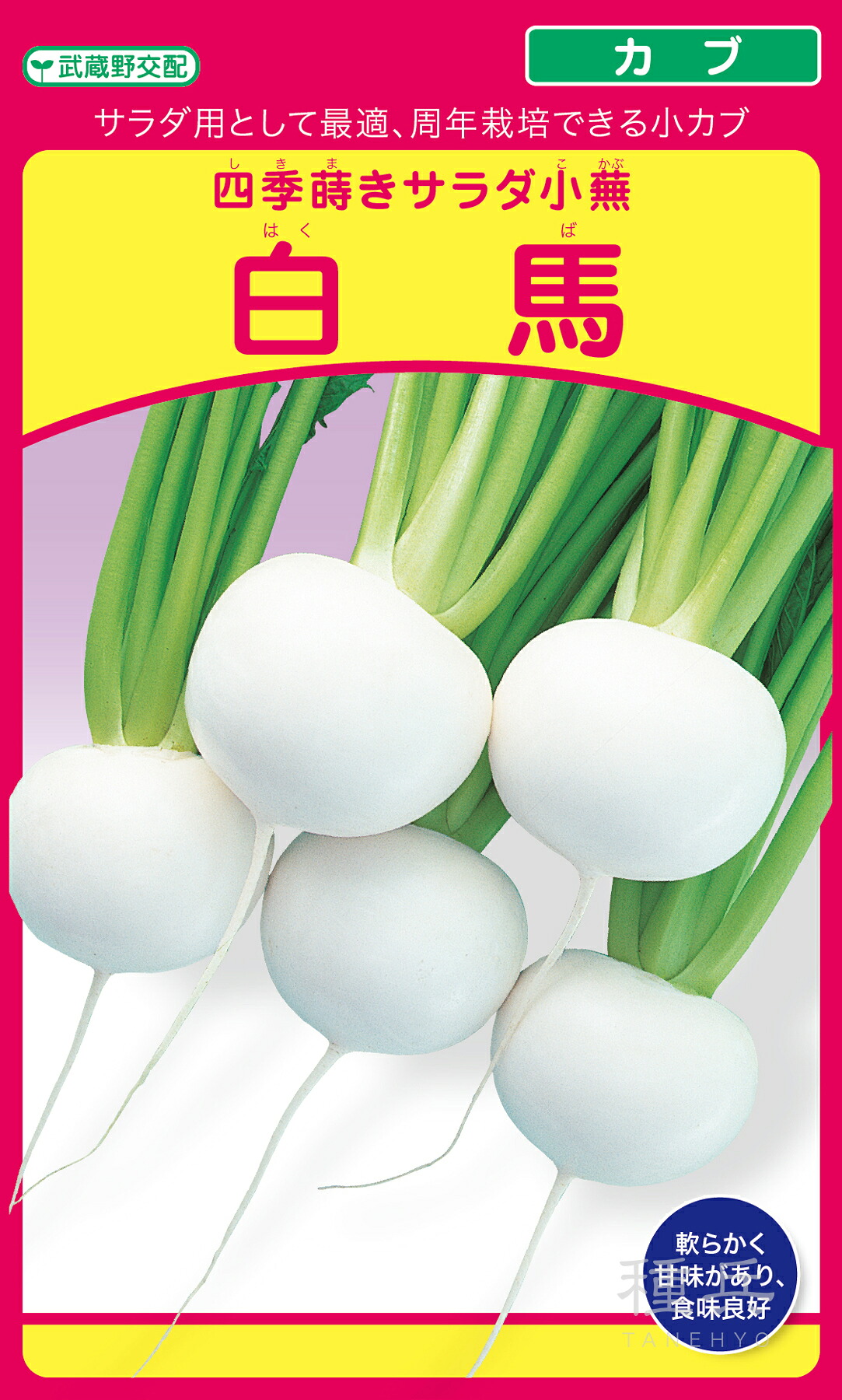 小少年 種 『白馬』  武蔵野種苗園