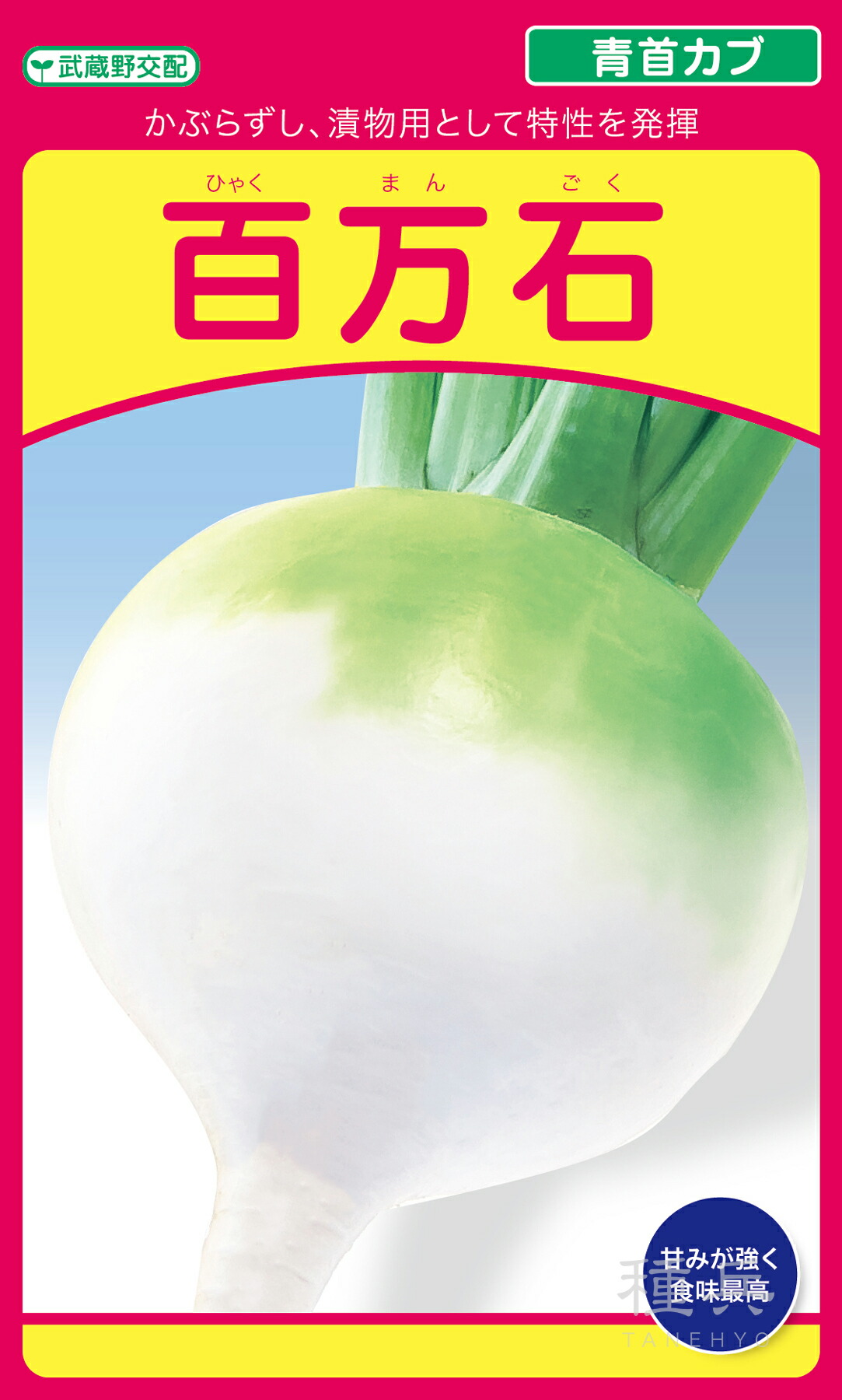 小小僧 種 『百万石』  武蔵野種苗園