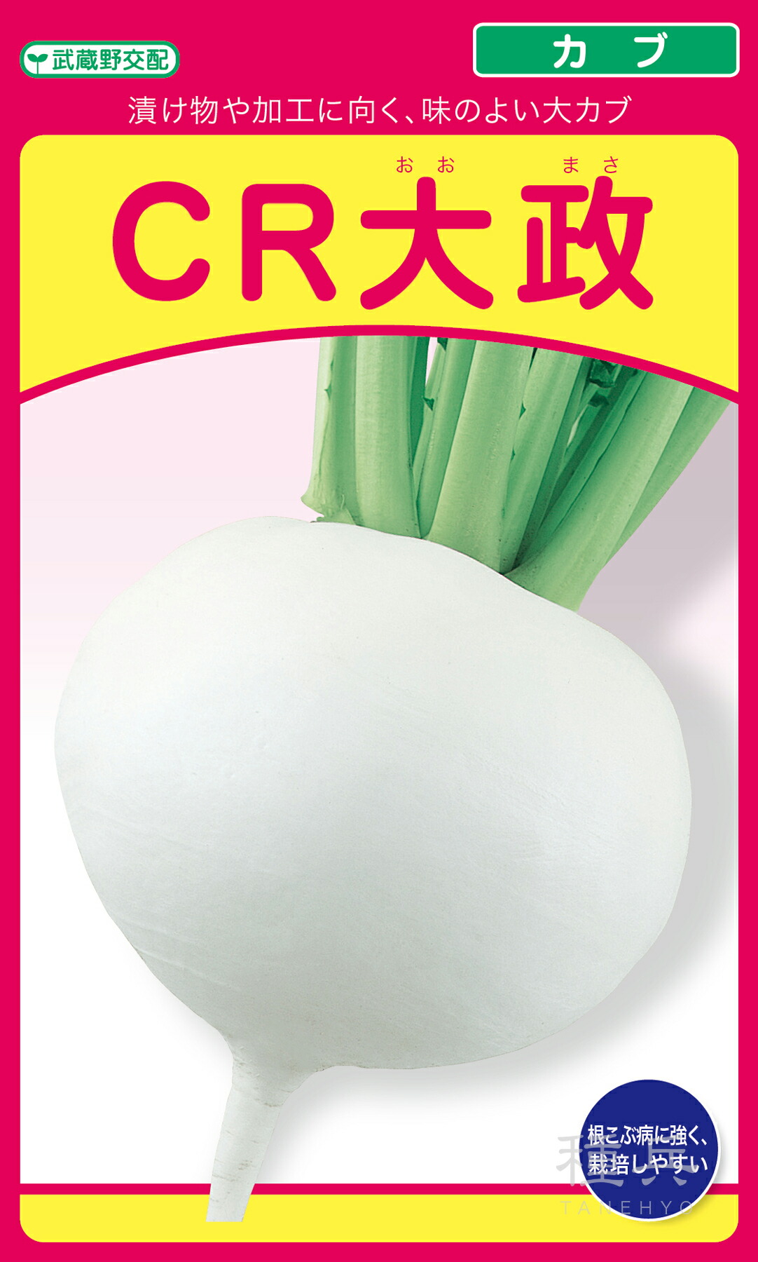 大カブ 種 『CR大政』 武蔵野種苗園