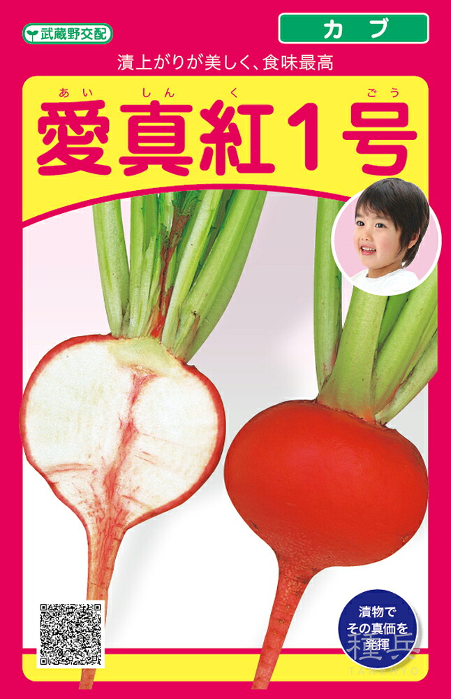 色小僧 種 『愛真紅1号』  武蔵野種苗園