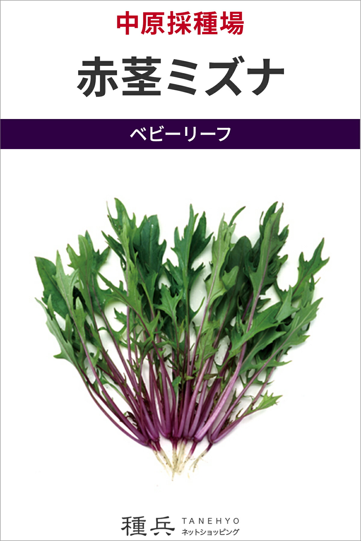 ベビーリーフ 種 『赤茎ミズナ』 中原採種場
