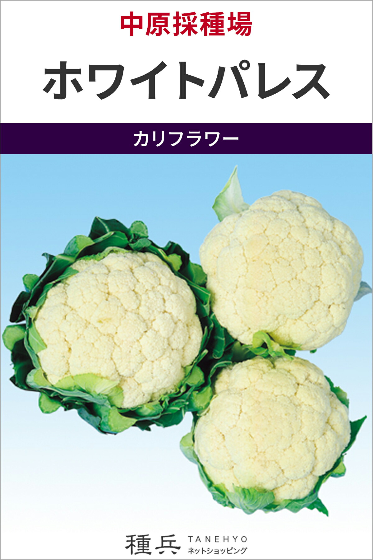 カリフラワー 種 『ホワイトパレス』 中原採種場