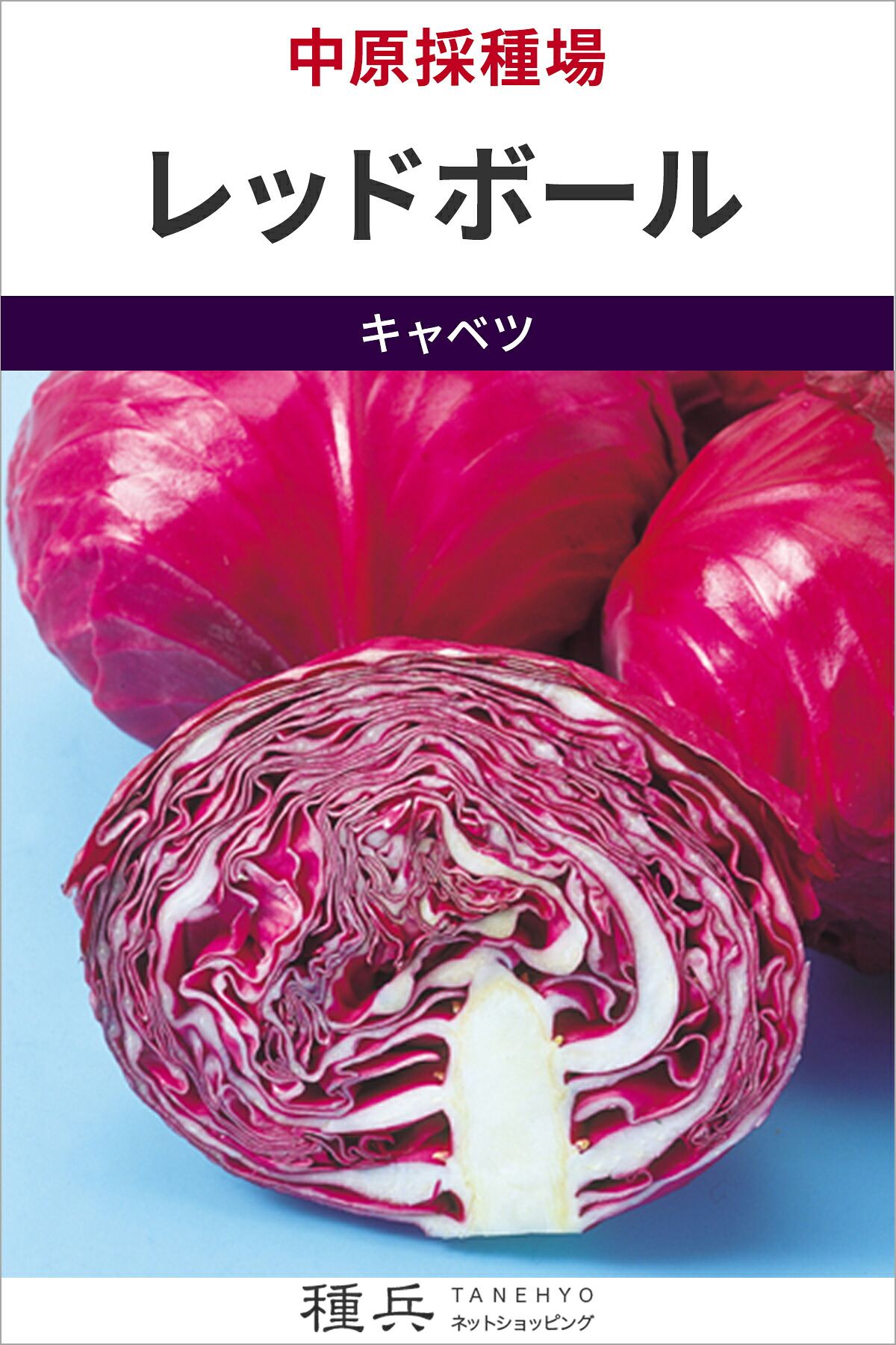 球菜 種 『赤いことどんぶり鉢』  中原採種場