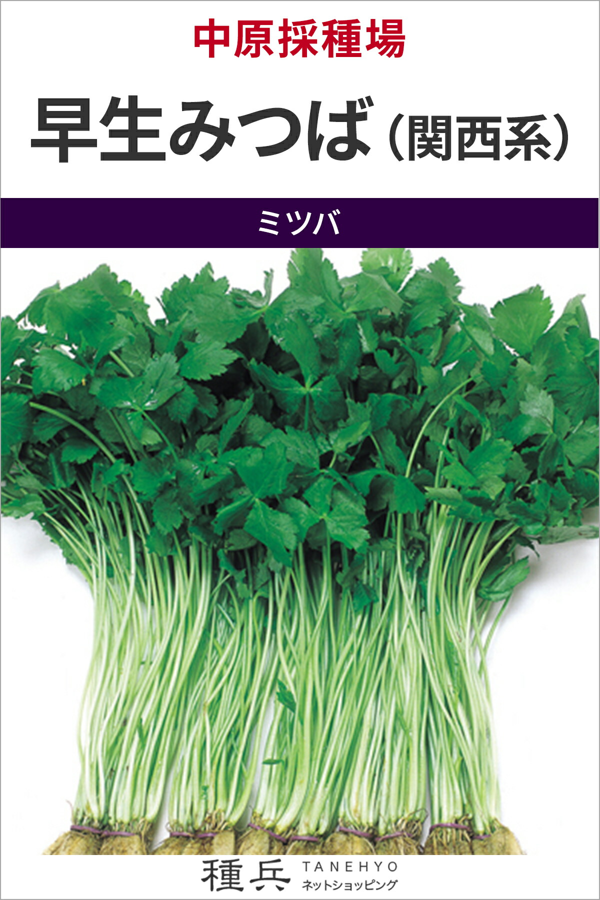 ミツバ 種 『早生みつば（関西系）』  中原採種場