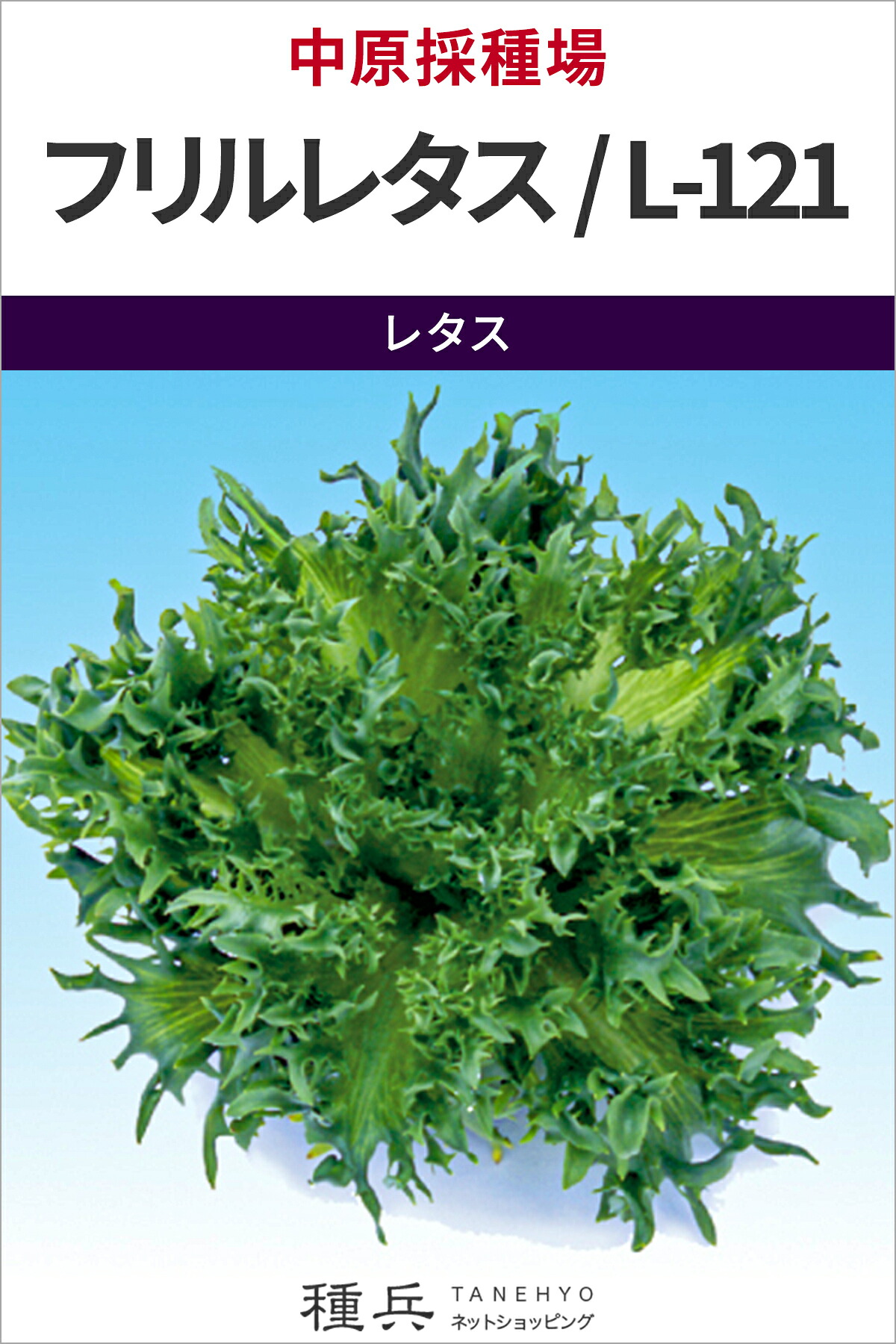 岩礁萵苣 種 『フラウンス萵苣（早生系）／L-121』  中原採種場