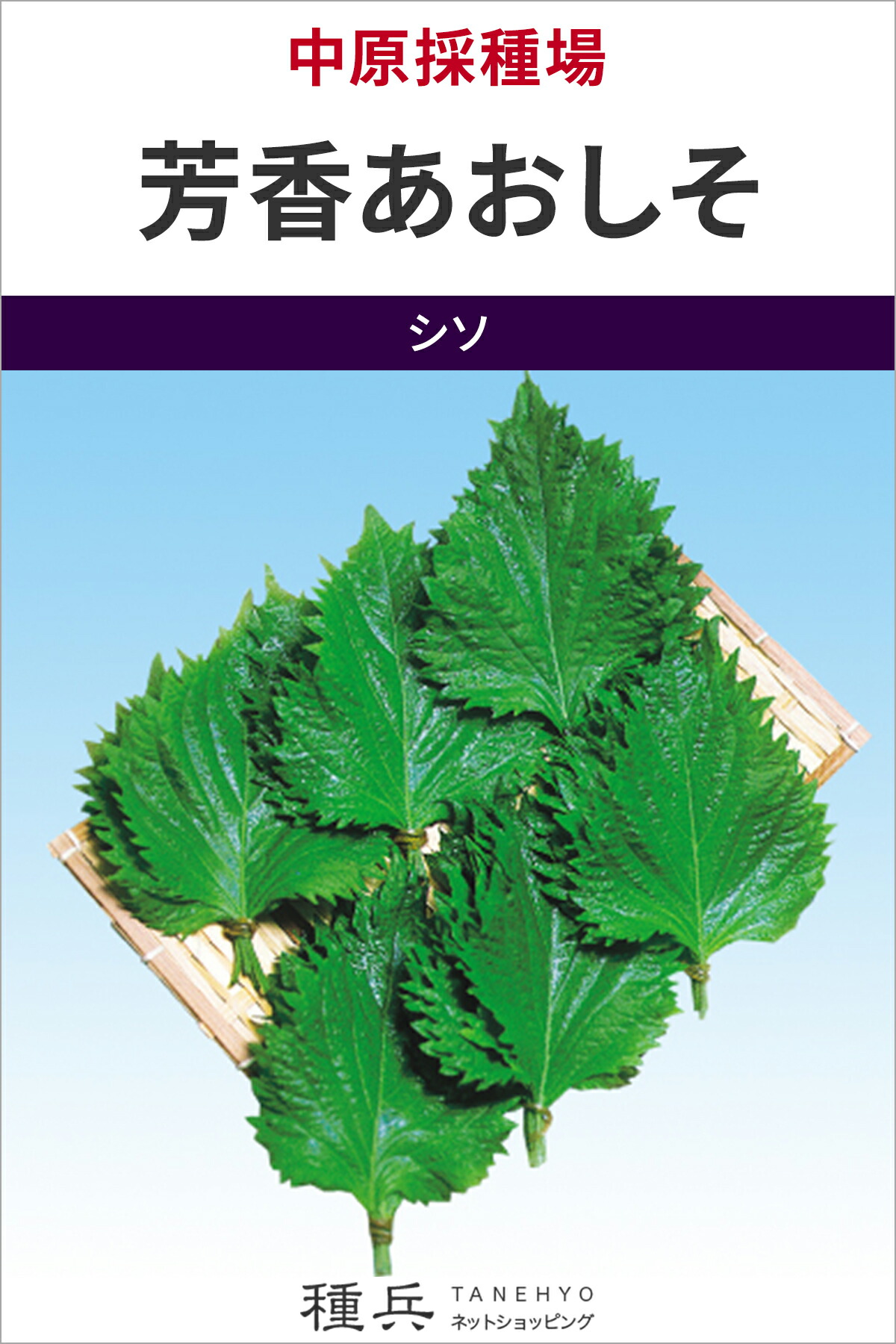 シソ 種 『芳ばしさあおしそ』  中原採種場