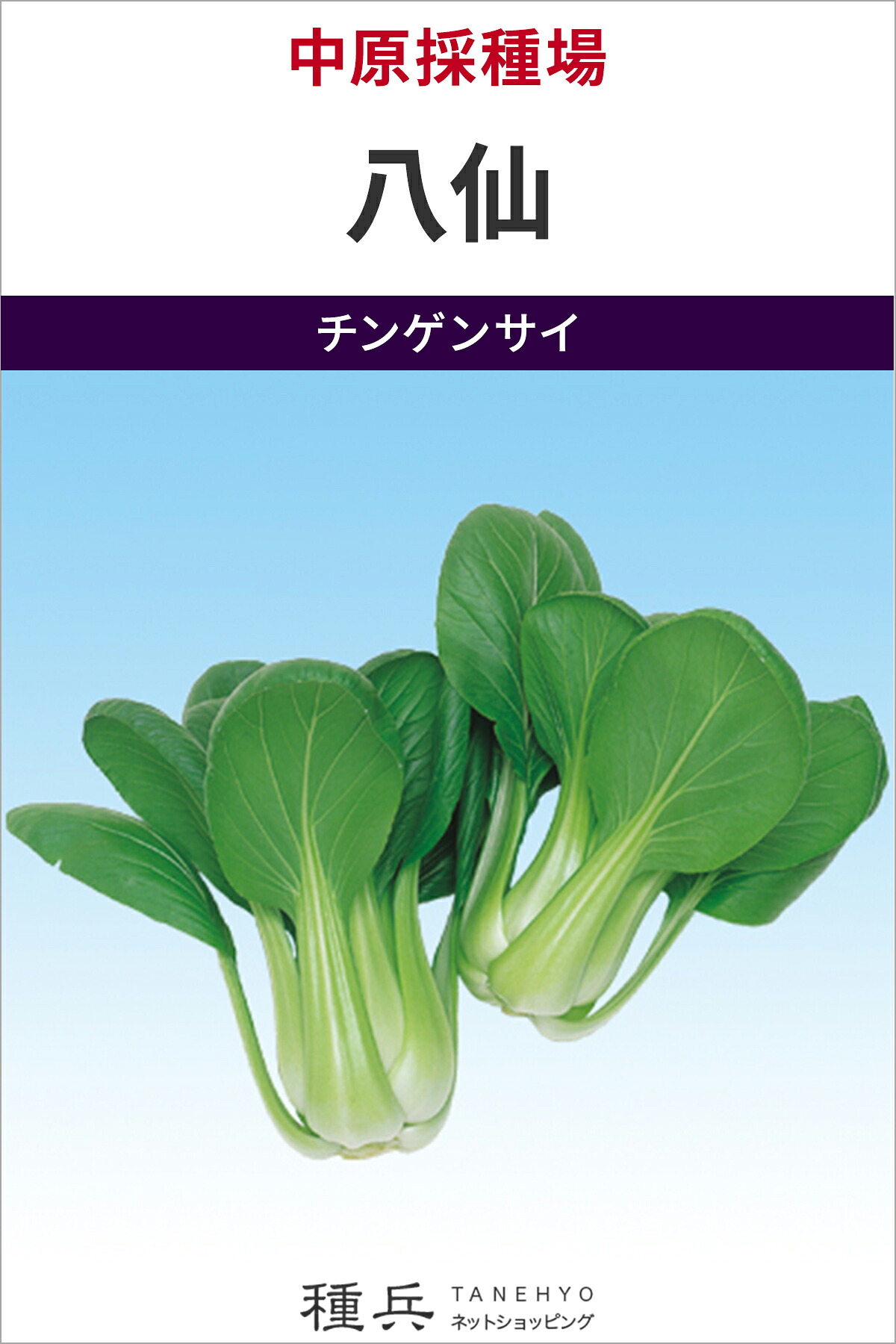 頤遺伝因子菜 種 『八仙』  中原採種場