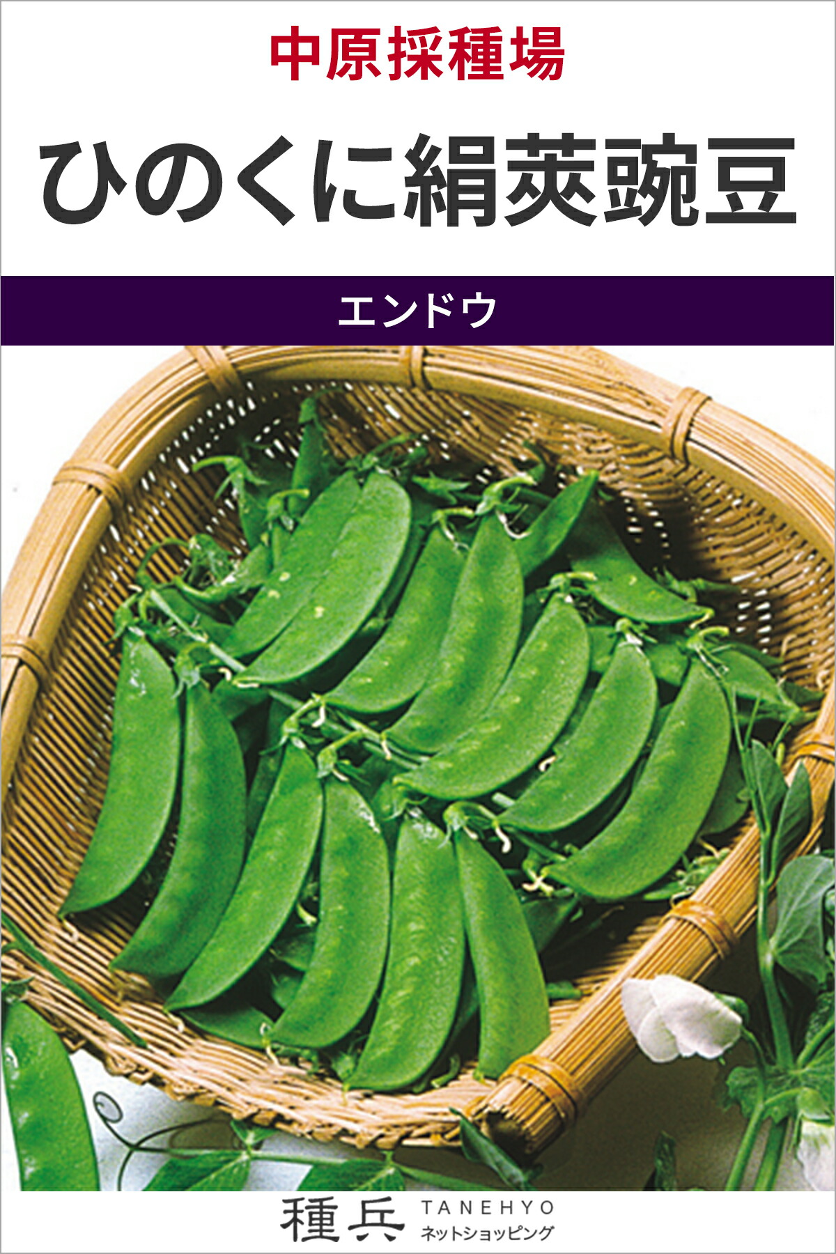 キヌサヤエンドウ 種 『ひのくに絹莢豌豆』 中原採種場