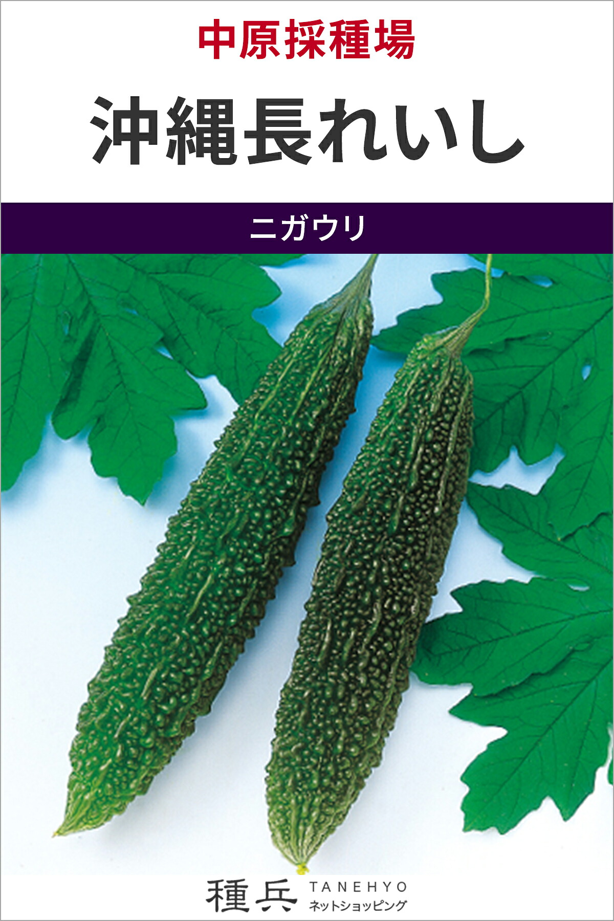 ゴーヤ 種 『沖縄長れいし』 中原採種場