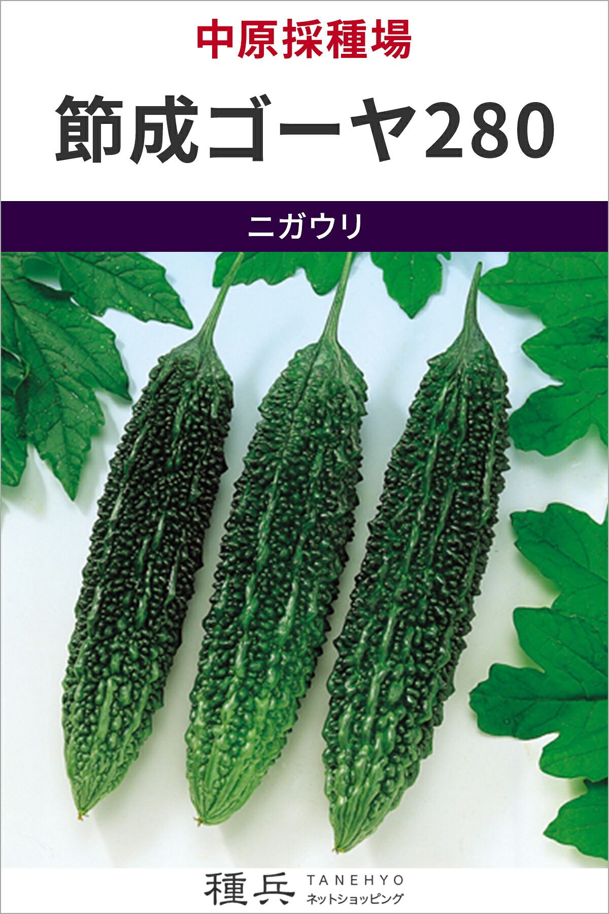 ゴーヤ 種 『節成ゴーヤ280』  中原採種場