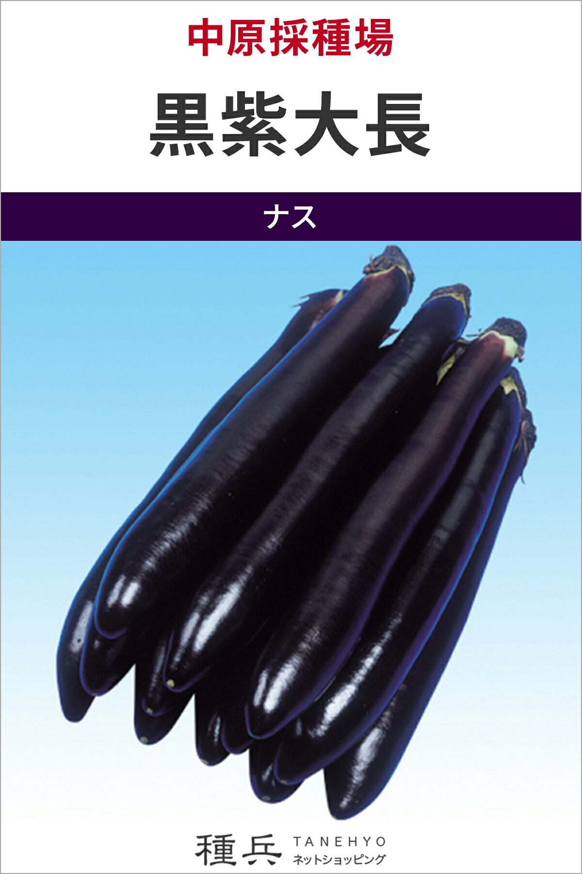 大長茄子 種 『黒紫大長』  中原採種場