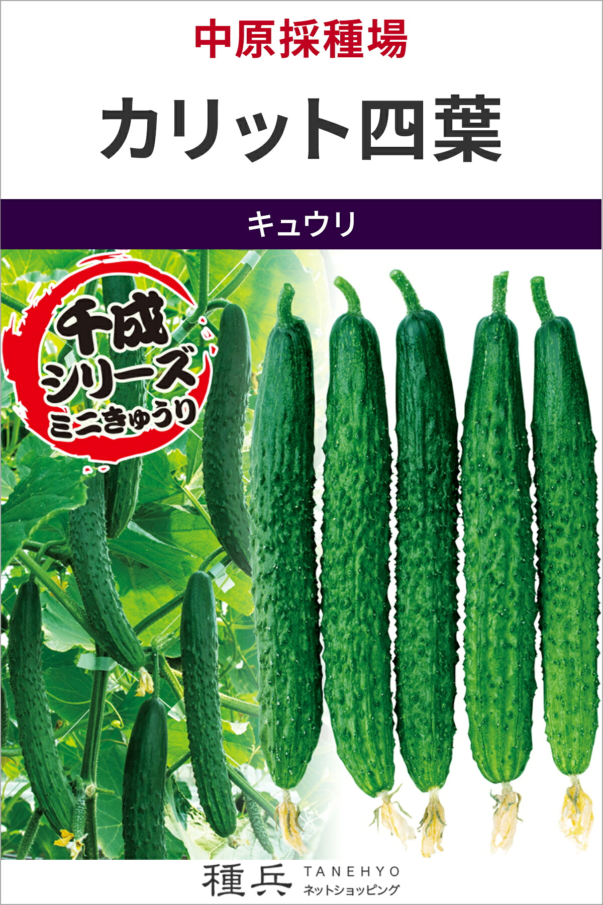 四葉ミニキュウリ 種 『カリット四葉』 中原採種場｜種兵ネットショッピング