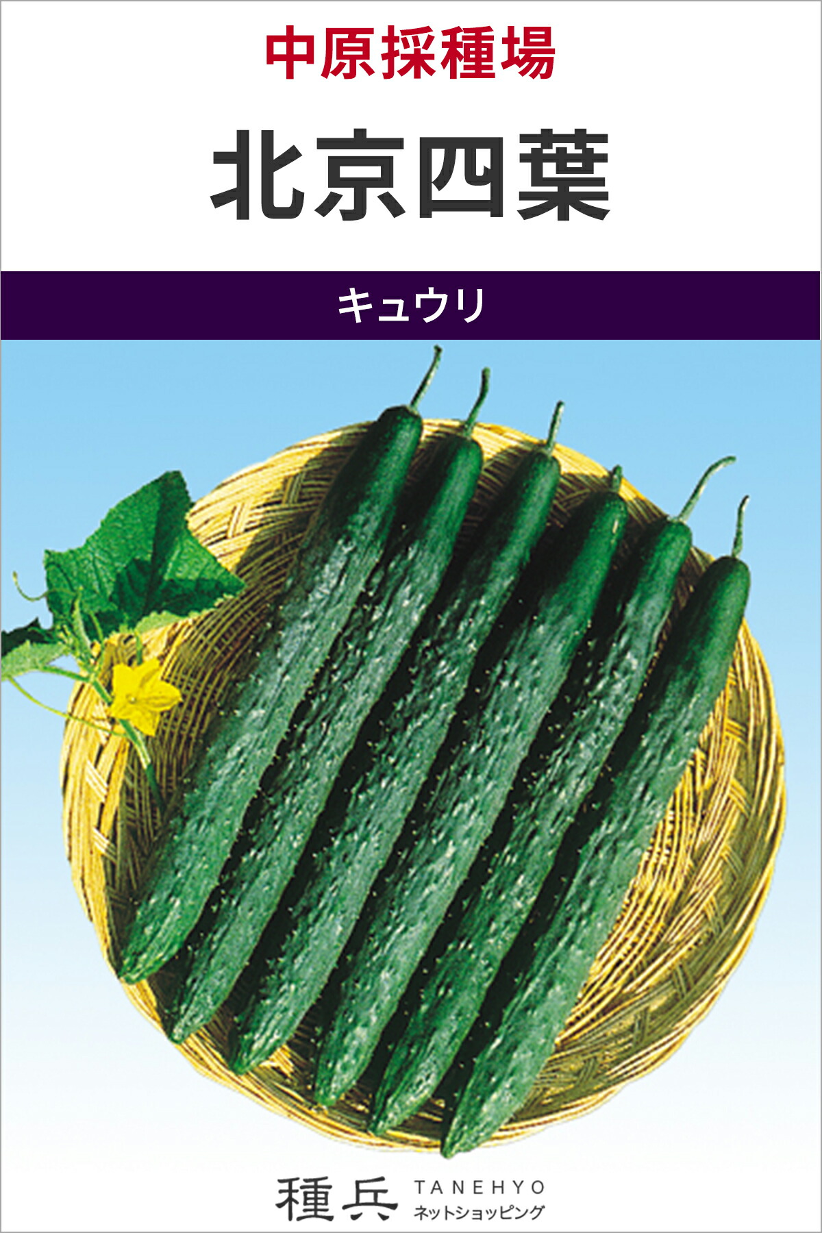四葉黄瓜 種 『北京四葉』  中原採種場