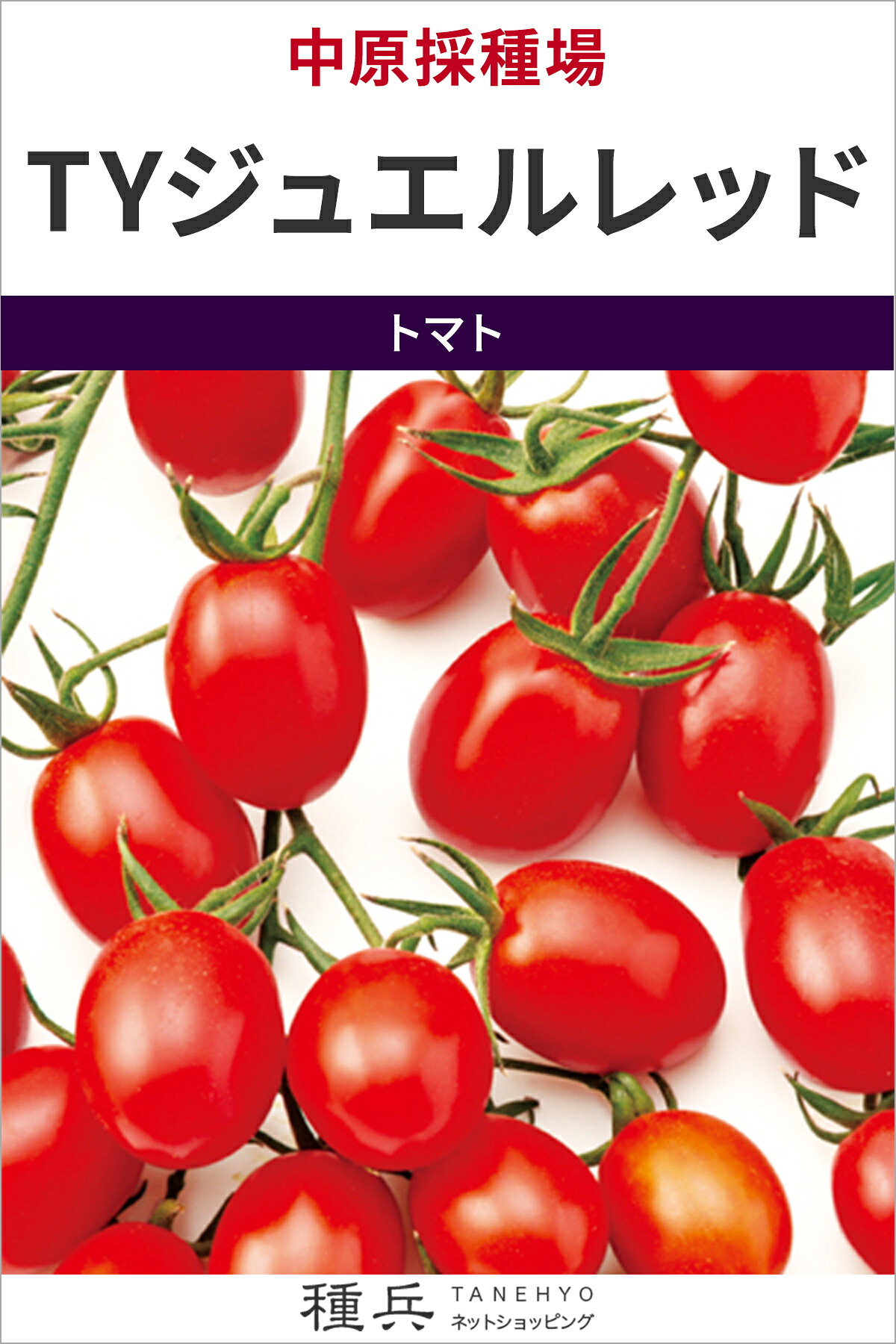 ミニ赤ナス 種 『TYジュエル赤いこと』  中原採種場