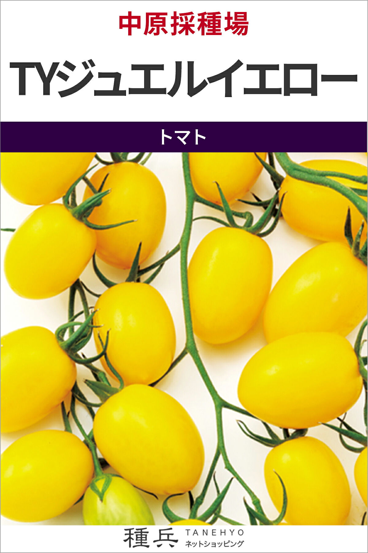 ミニ赤ナス 種 『TYジュエル黄色』  中原採種場
