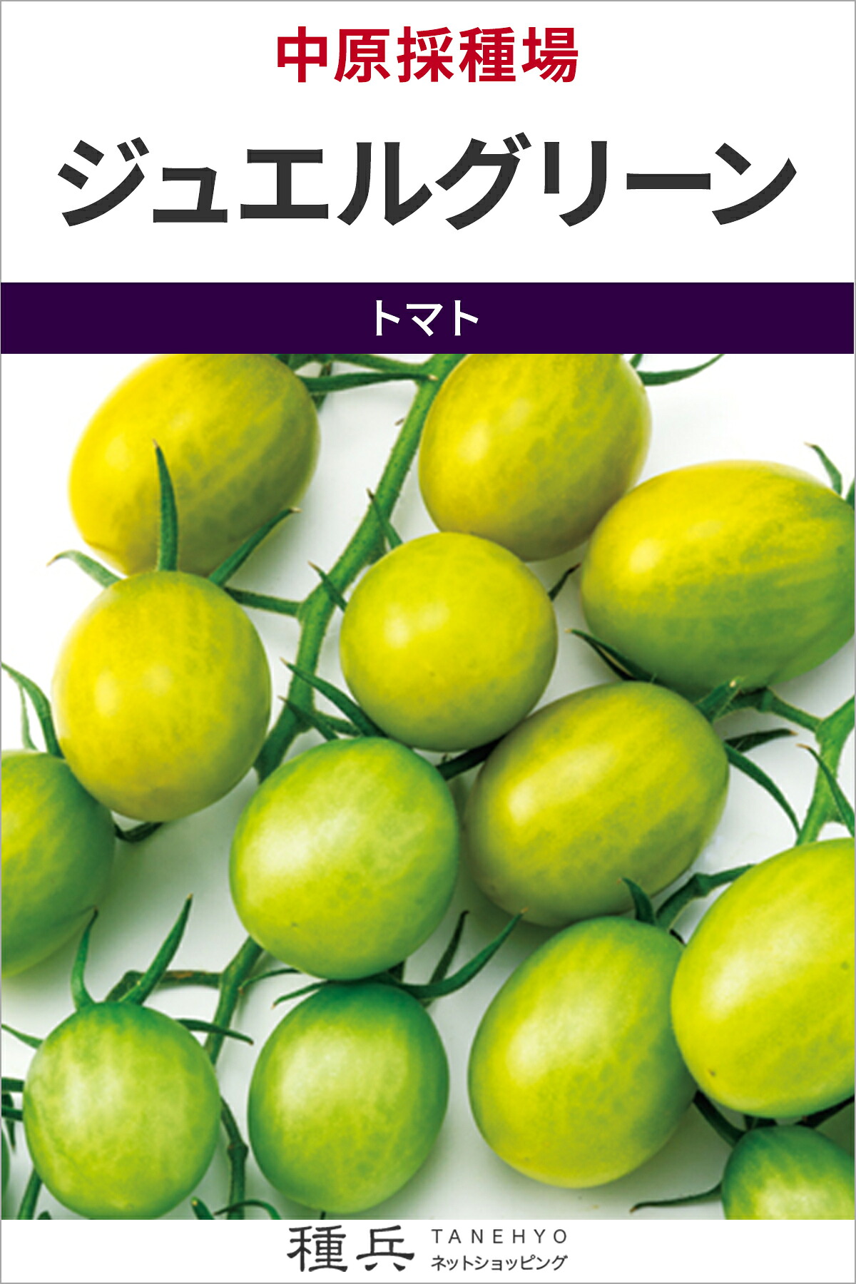 ミニ赤ナス 種 『ジュエル緑であること』  中原採種場