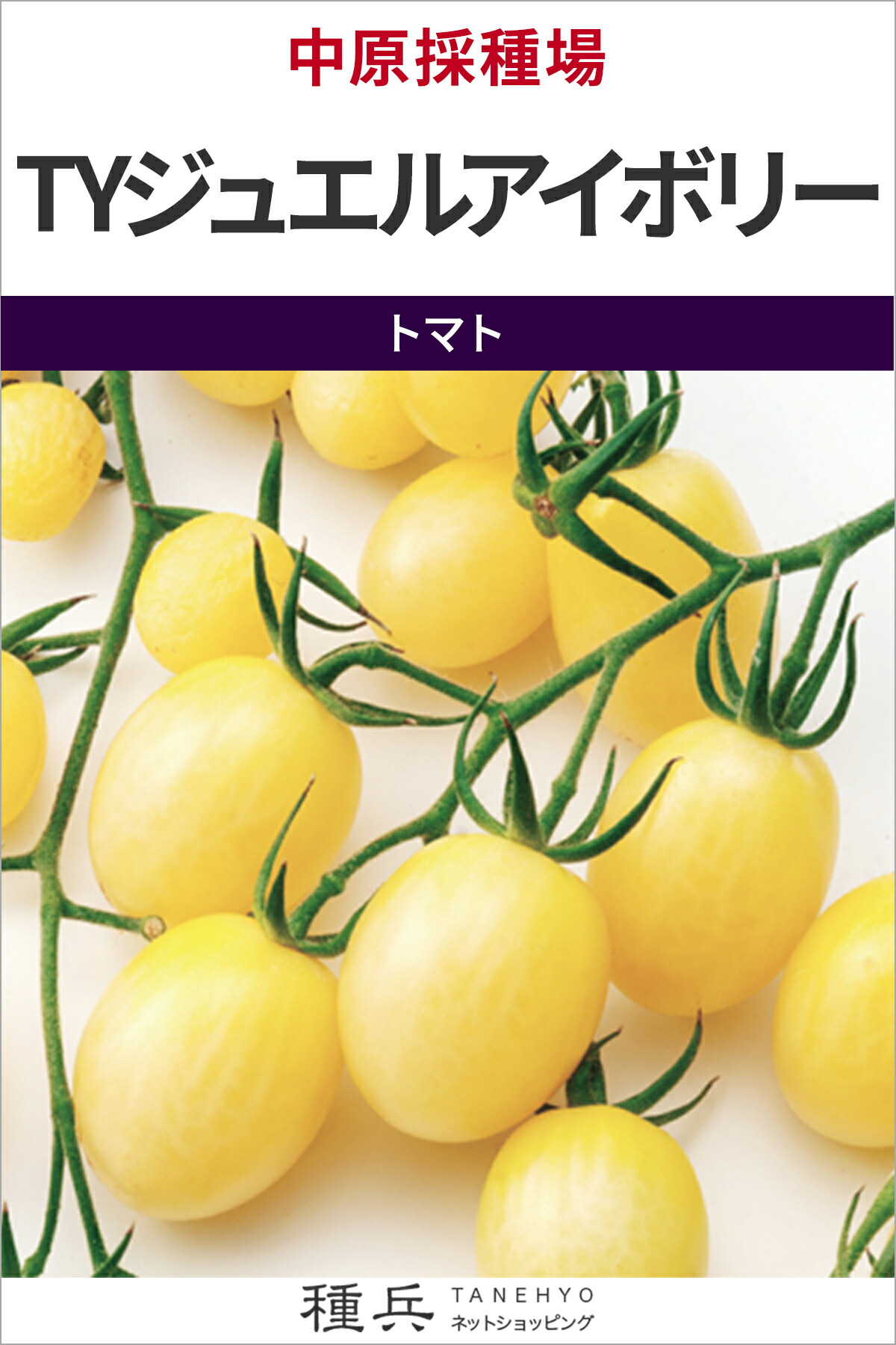 ミニ赤ナス 種 『TYジュエル象牙色』  中原採種場
