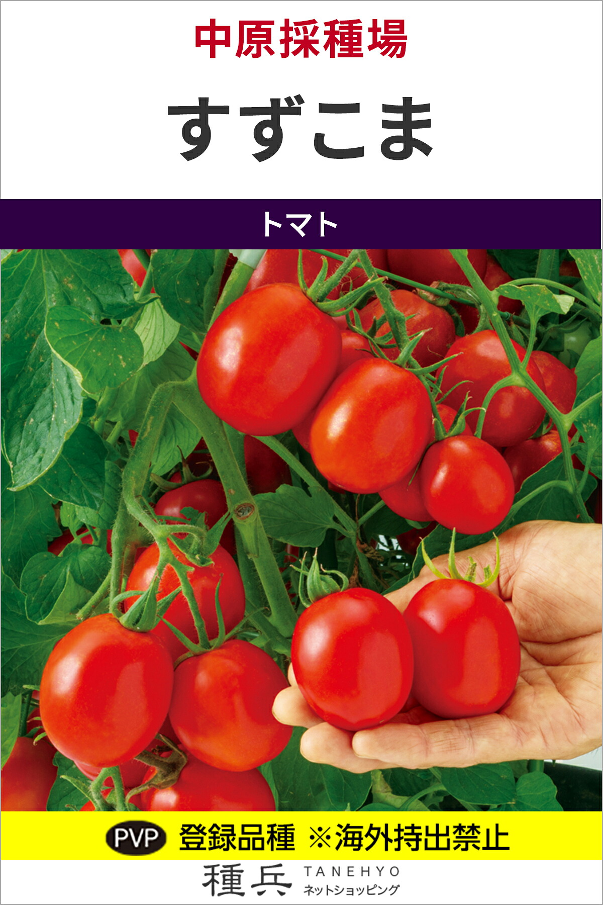 中玉赤なす 種 『すずこま』  中原採種場