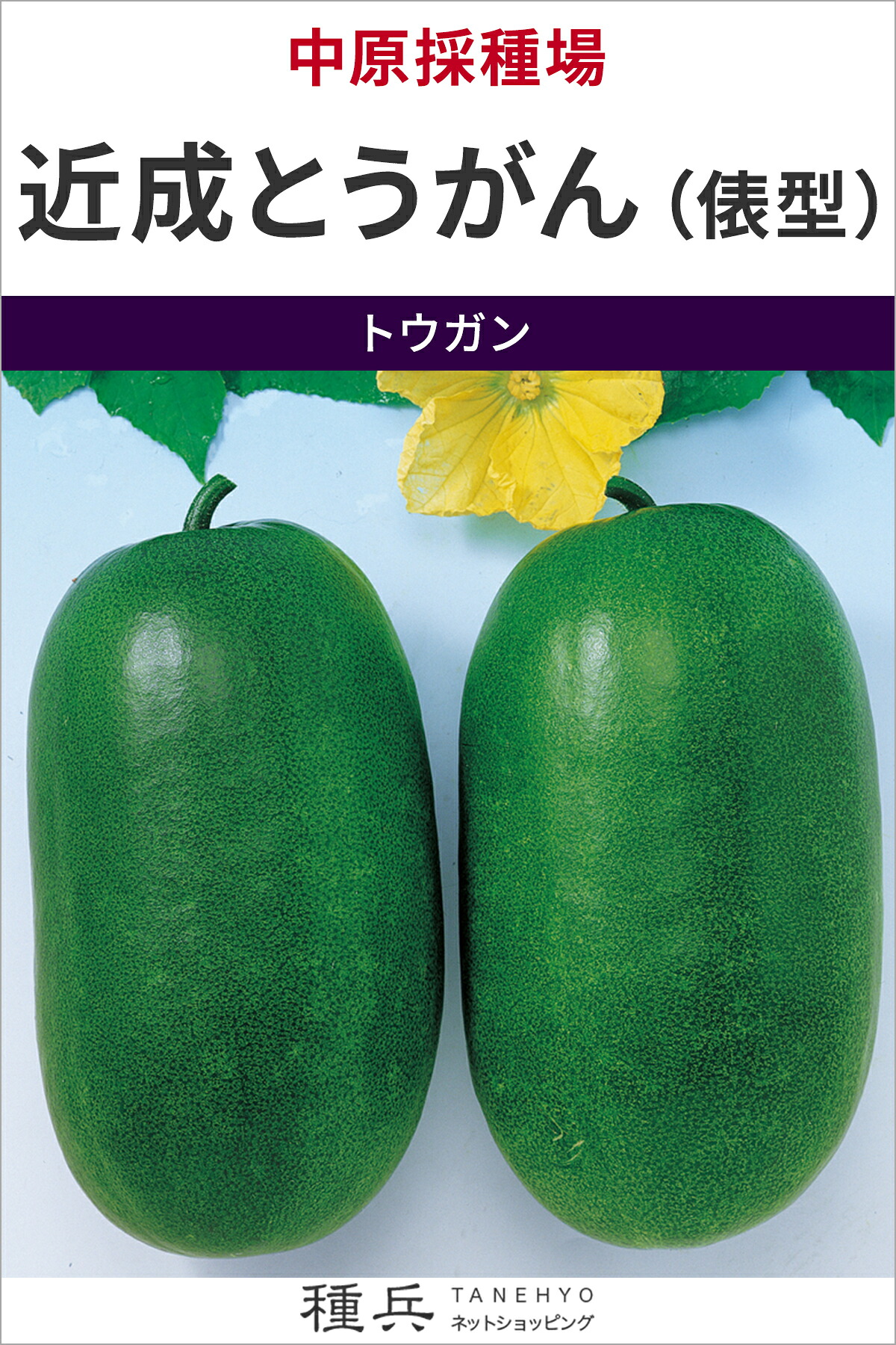 トウガン 種 『近成とうがん（俵型）』  中原採種場