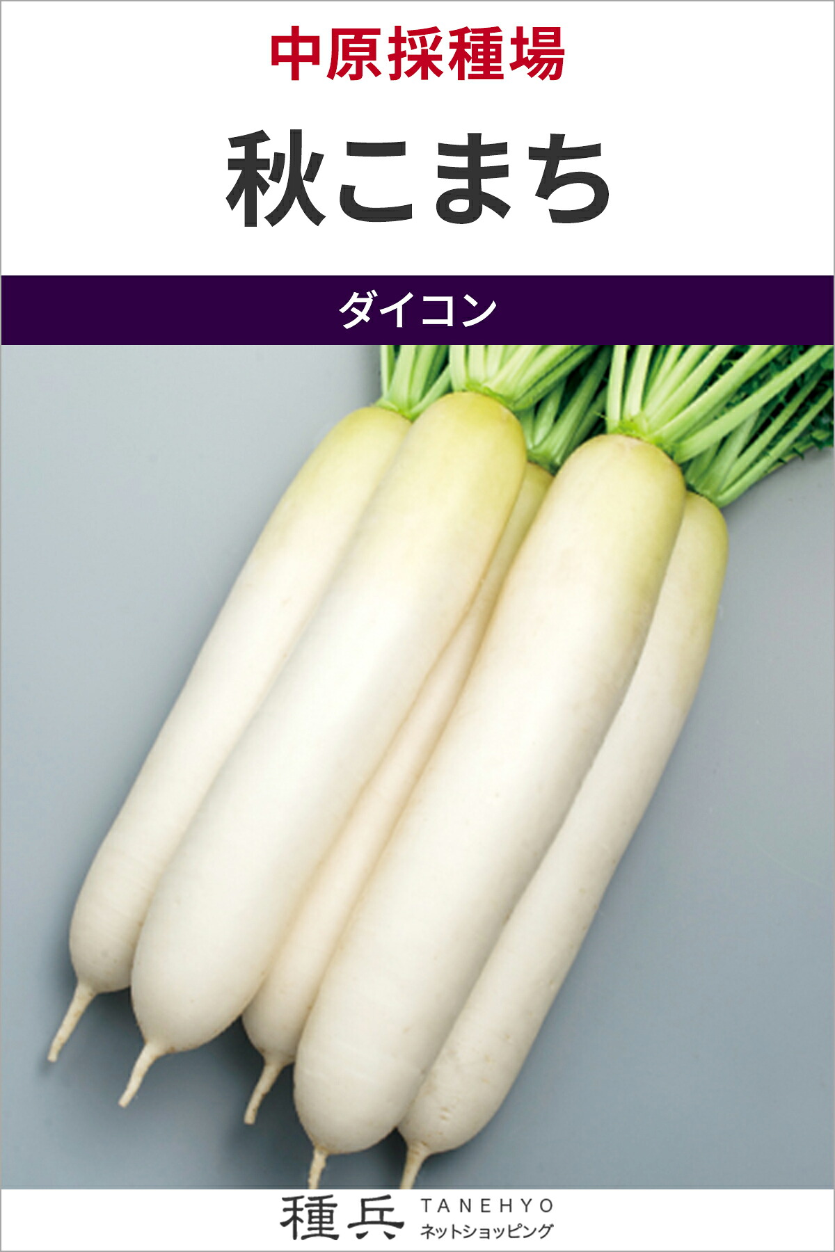 晩夏～秋まき、春まきダイコン 種 『秋こまち』 中原採種場