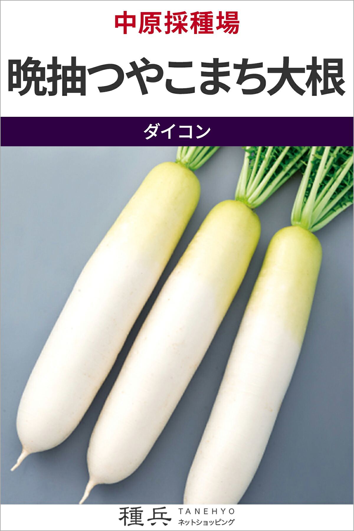 清白 種 『晩抽つやこまち大根役者』  中原採種場