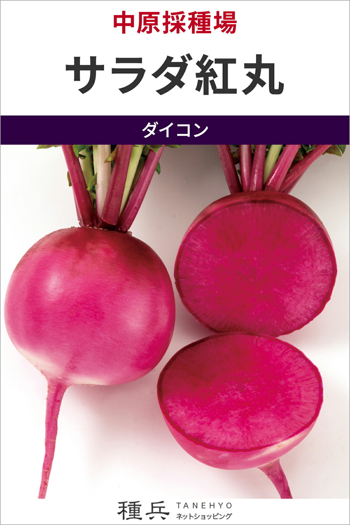 丸型紅芯大根役者 種 『サラダ菜紅丸』  中原採種場